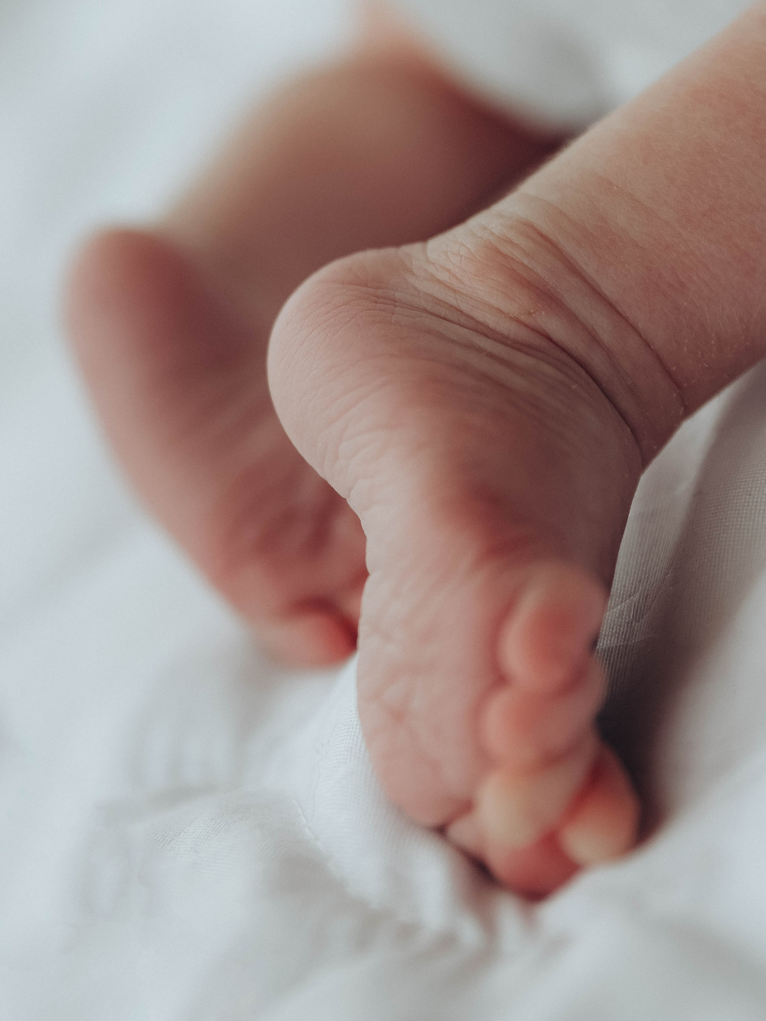 Любовь и котики. Мультифотограф Динара Ахмедзянова