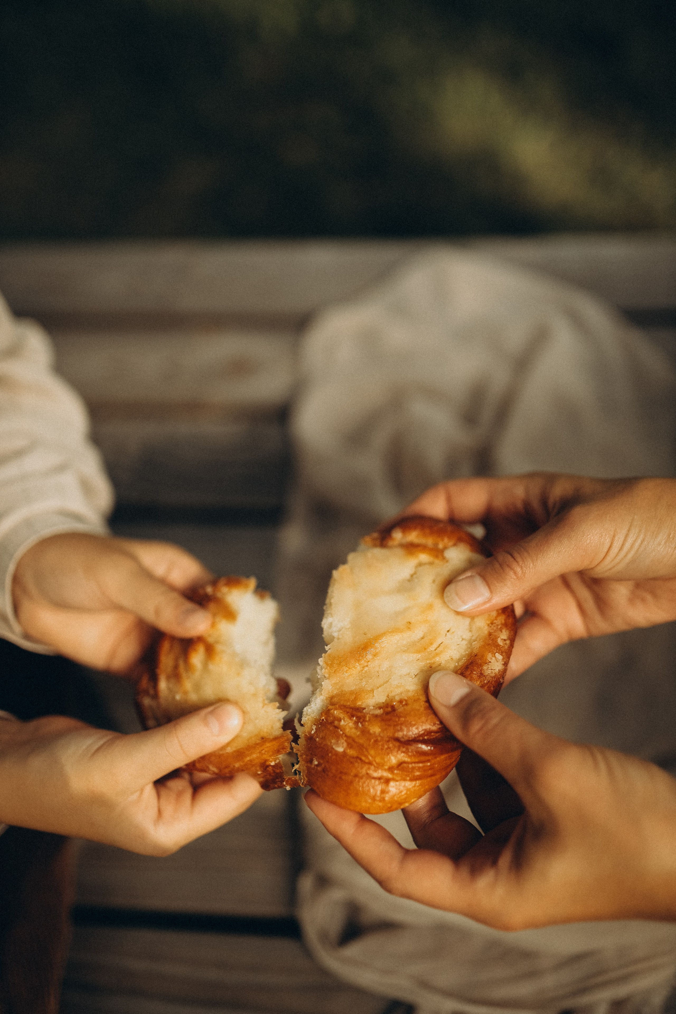 Дина и Миа в огороде. Семейный и детский фотограф в Москве Анастасия Меликова