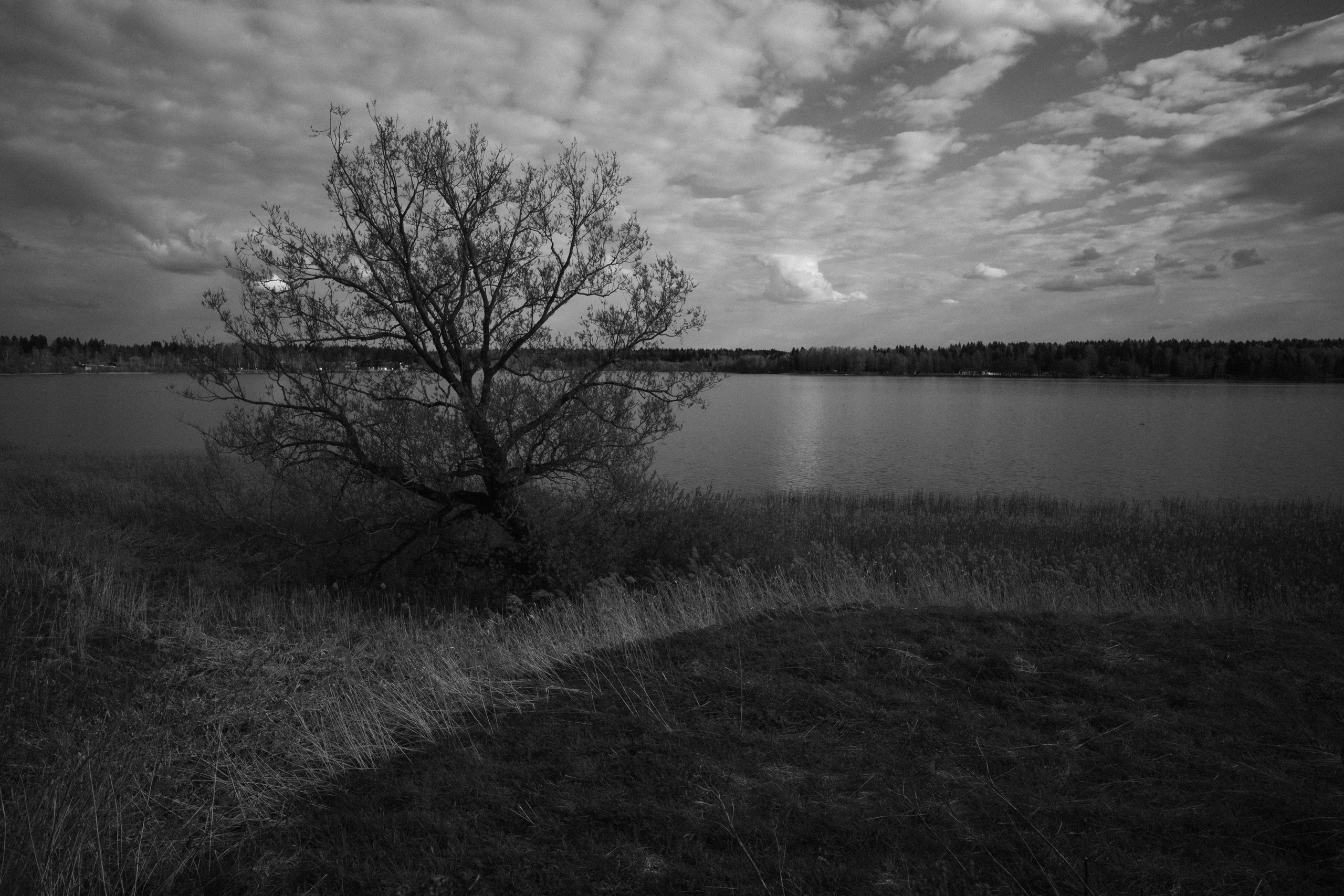 Intemporel. F11 production