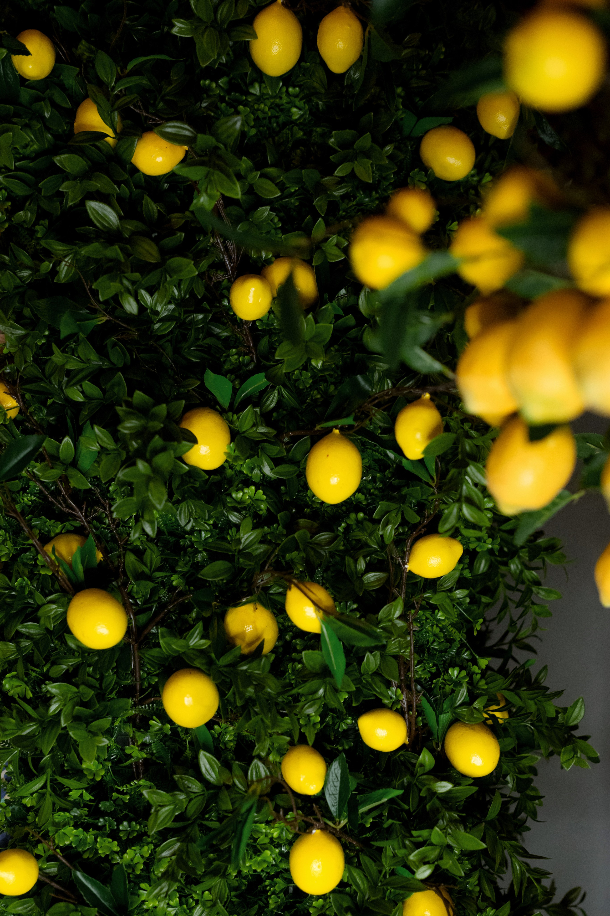 ART DE LA TABLE с Натальей Люккези. Свадебный фотограф в Минске