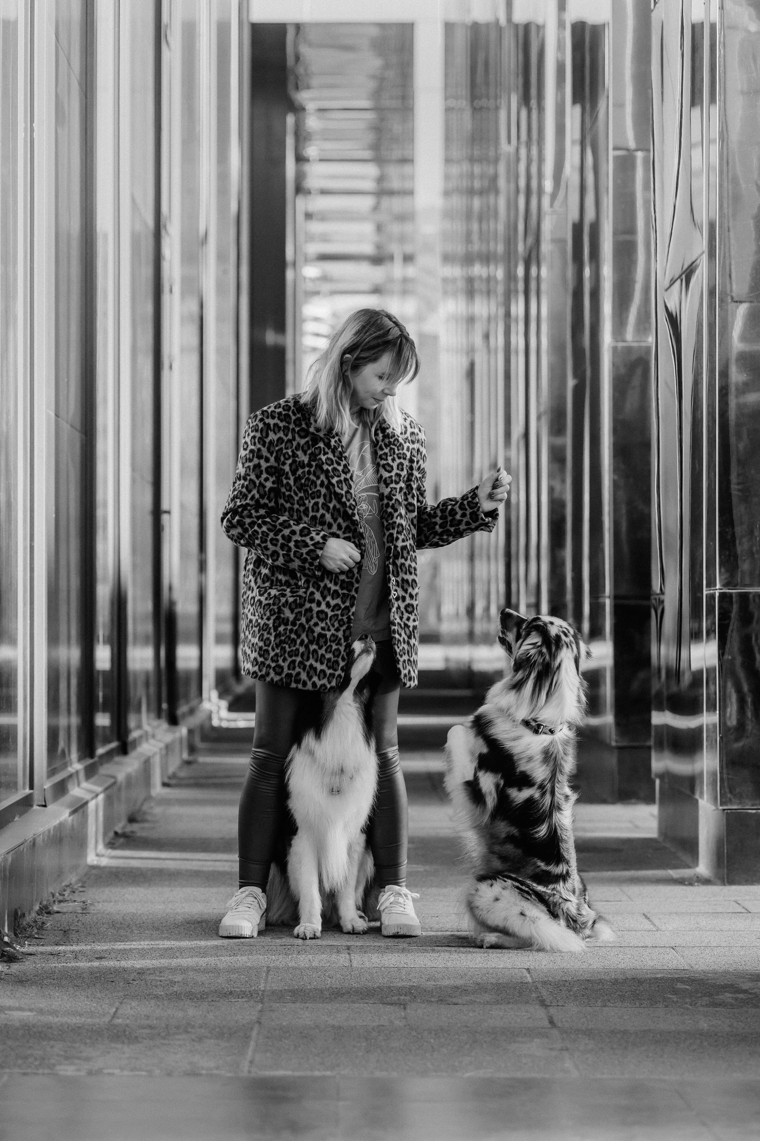 Аня, Чарли и Ева. Фотограф-анималист Елена Радченко, Москва