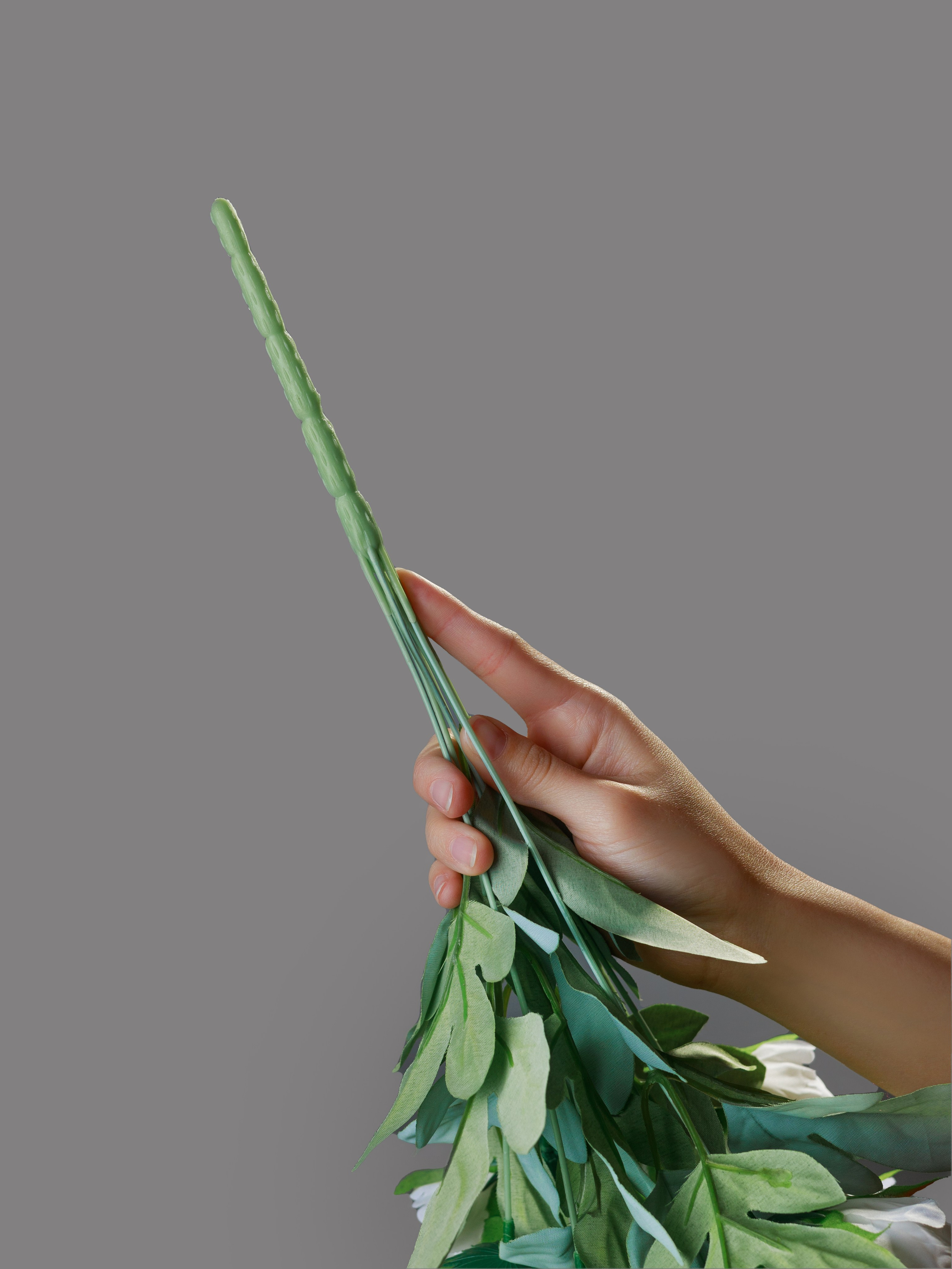 Пионы для OZON. СЕМЕЙНЫЙ И ПРЕДМЕТНЫЙ ФОТОГРАФ — ЛЕНА ГОНЧАР | КРАСНОДАР | МАЙКОП