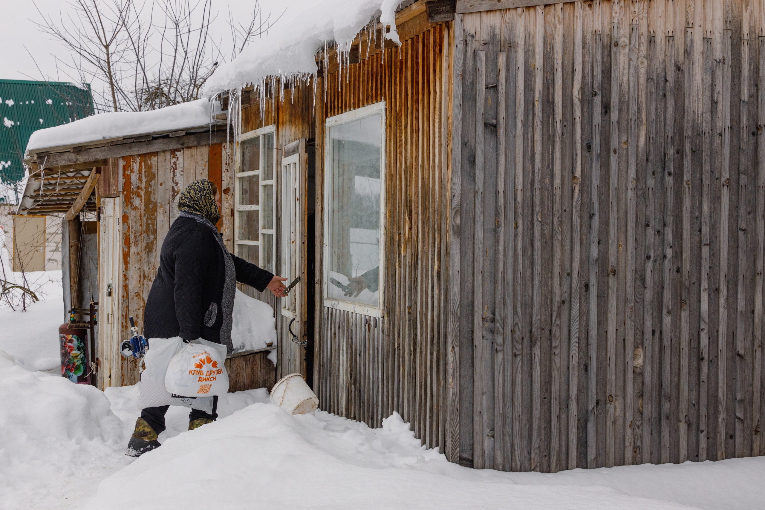 Передовая доярка. Фотограф Виталий Верескун. Козельск-Калуга