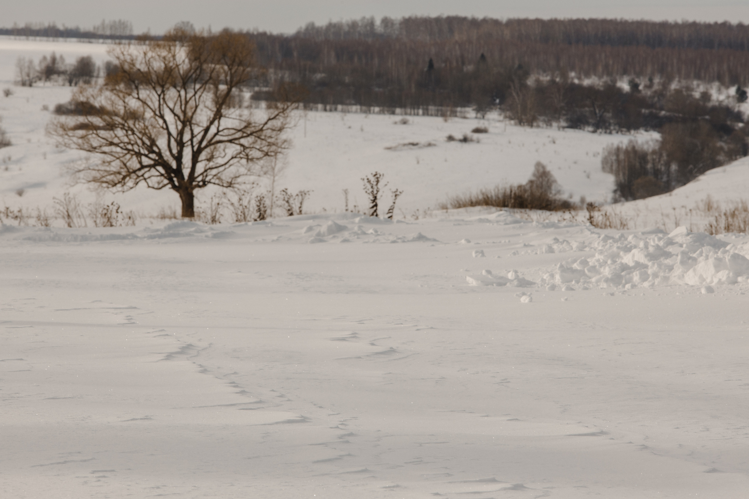 Женская монашеская община в честь свв. Назария и Антипы. Фотограф Виталий Верескун. Козельск-Калуга