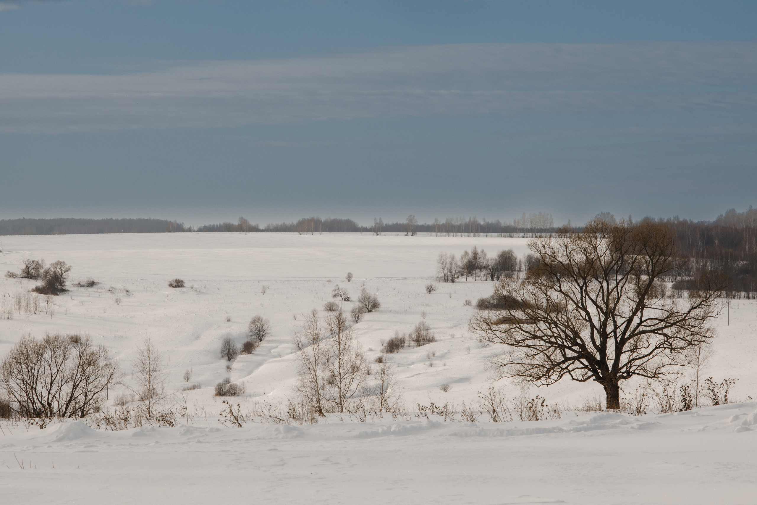 Женская монашеская община в честь свв. Назария и Антипы. Фотограф Виталий Верескун. Козельск-Калуга