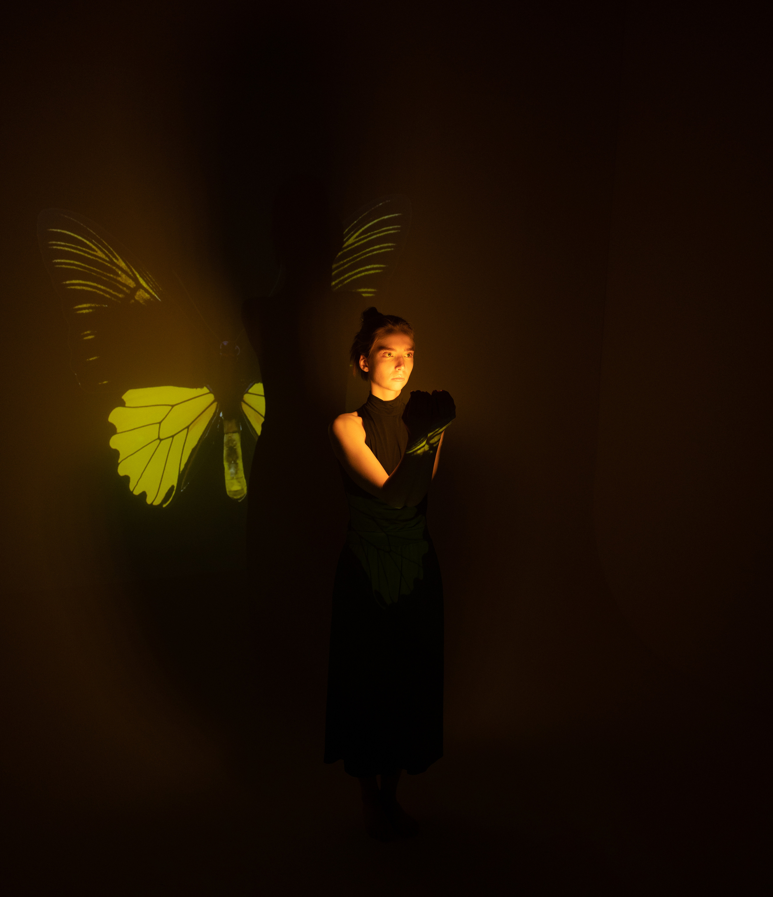 ИГРЫ СВЕТА. Shamirov Arkadiy