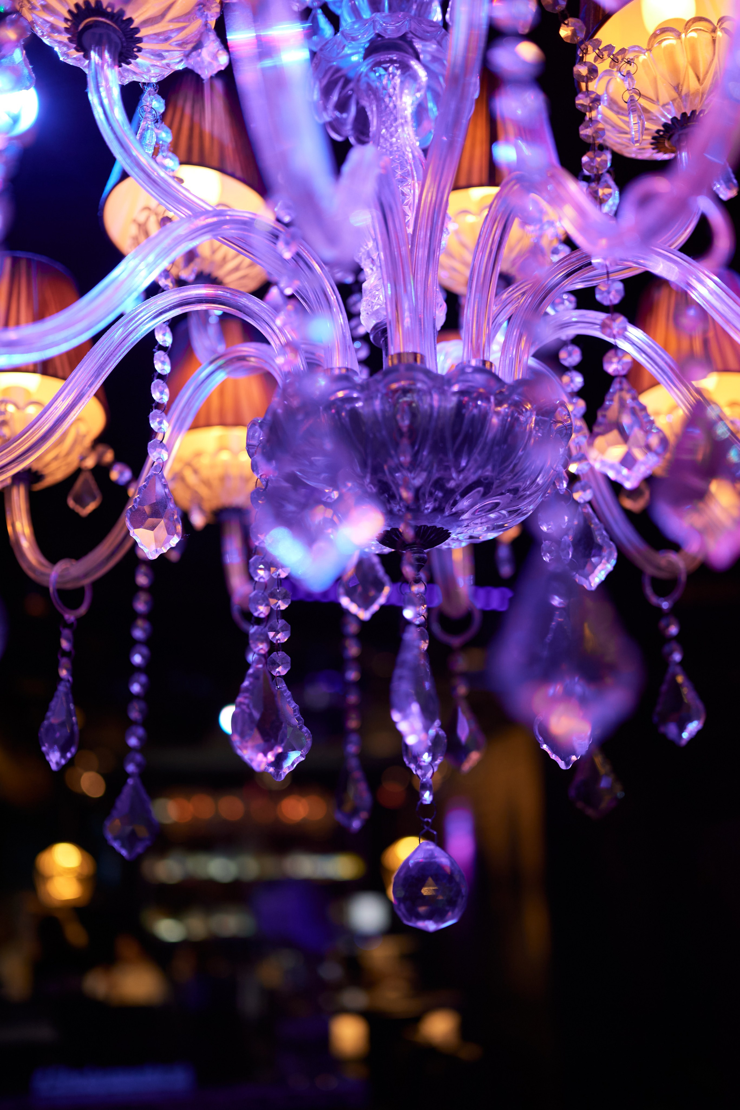 Вечеринка. Свадебный фотограф Александр Браво