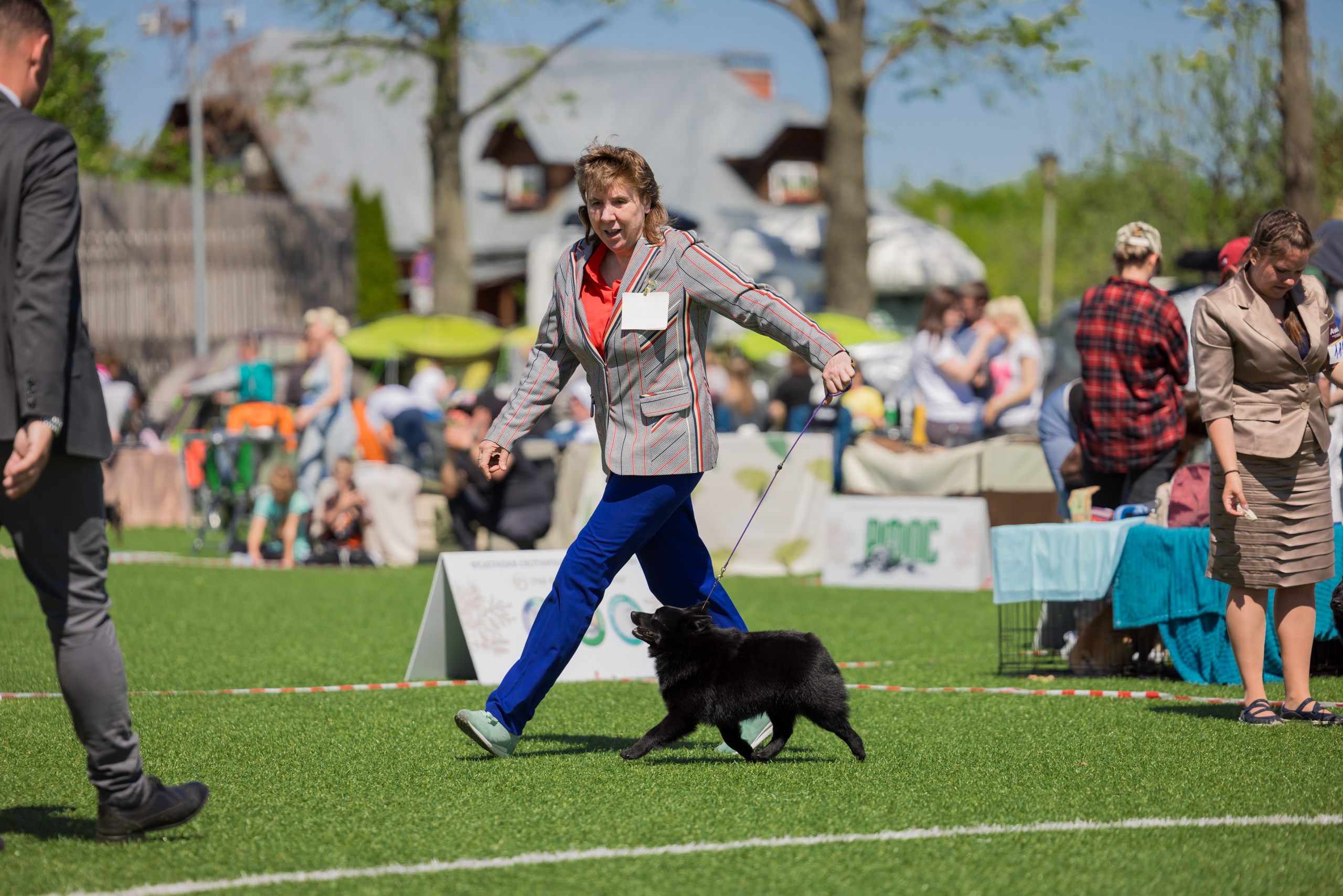 Суздаль 18-19.05.2024. Фотограф-анималист Юлия Германика