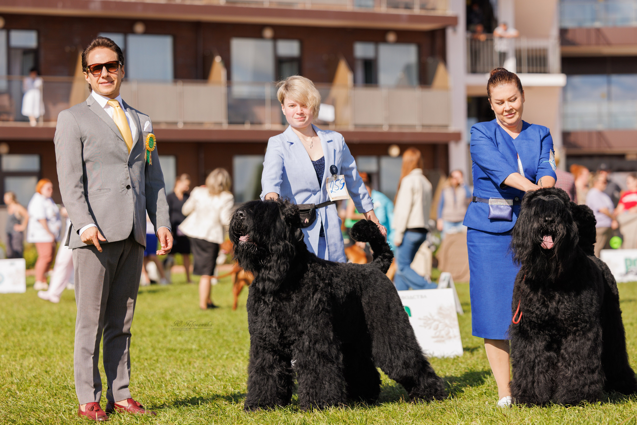 Переславль 5-7.08.2025. Фотограф-анималист Юлия Германика