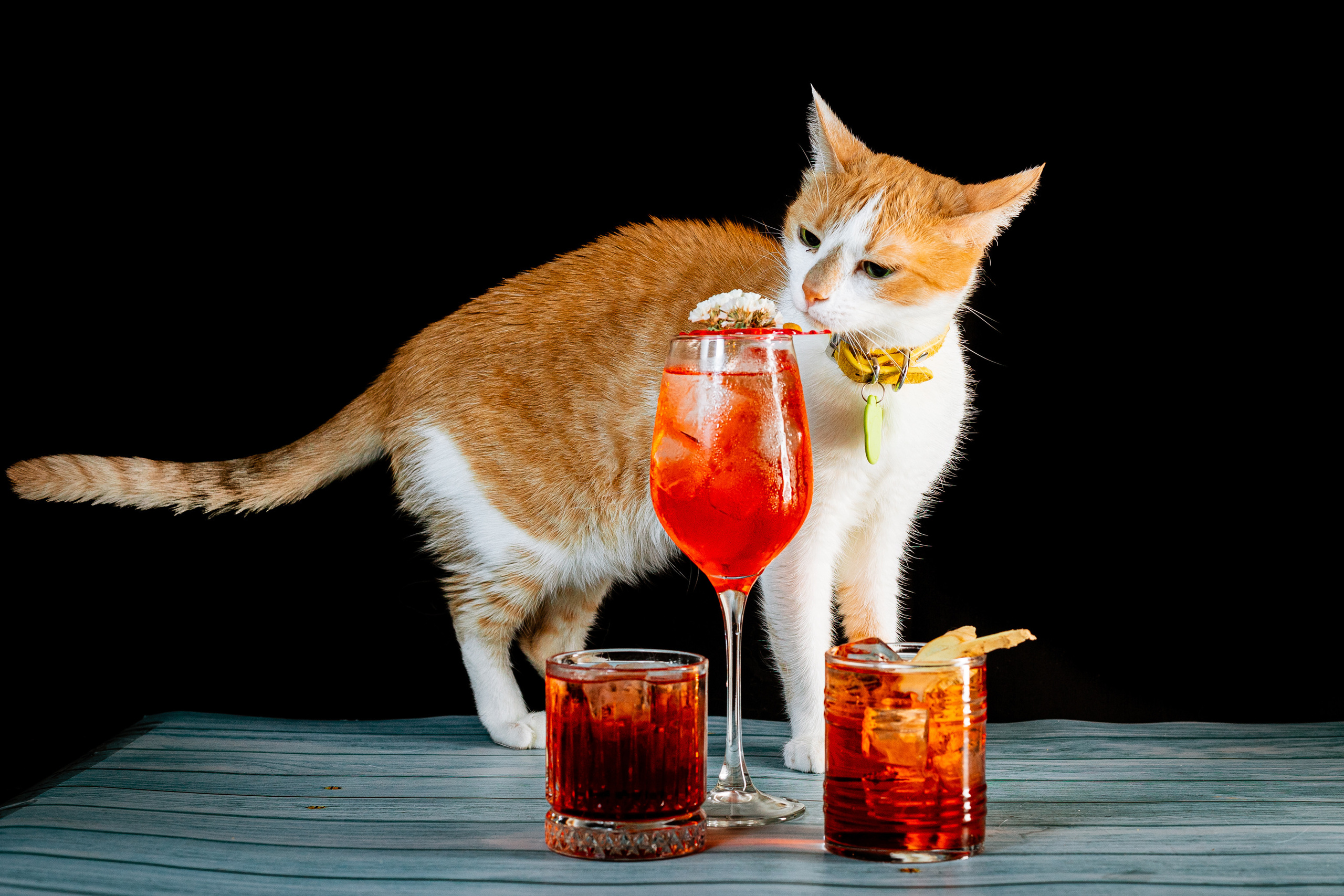 Drinks. Профессиональный фотограф Нурмиева Вероника