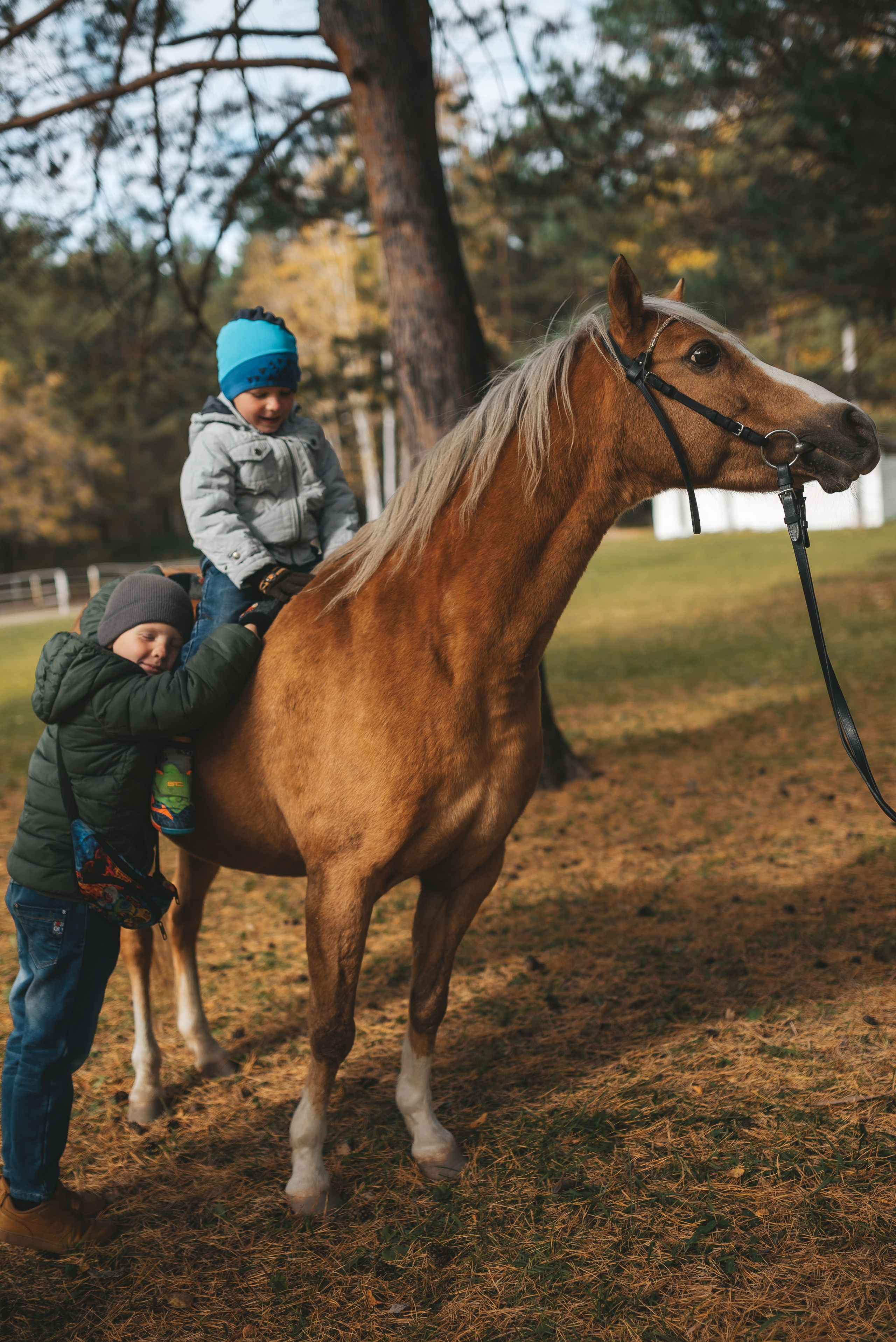 Фотосессия для Иры. Семейная фотосессия в Новосибирске от фотографа Ольги Коваль
