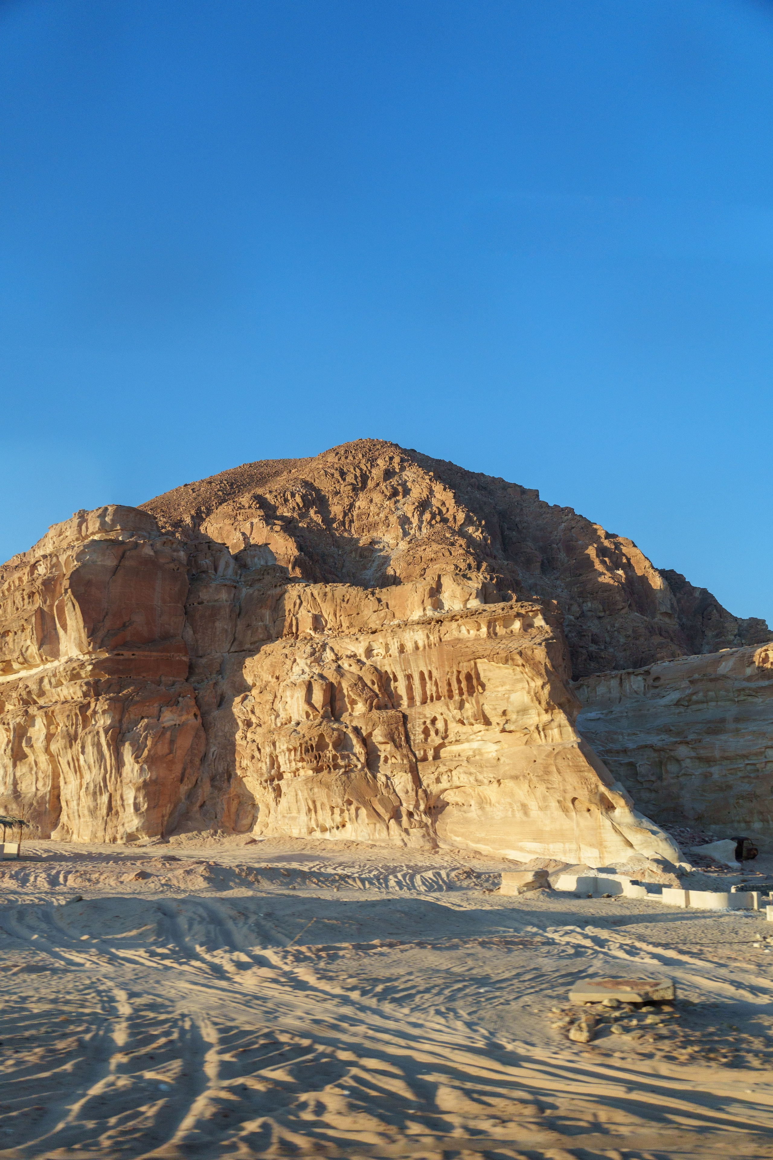 Природа. Фотограф в Санкт-Петербурге Ибрагимова Алина