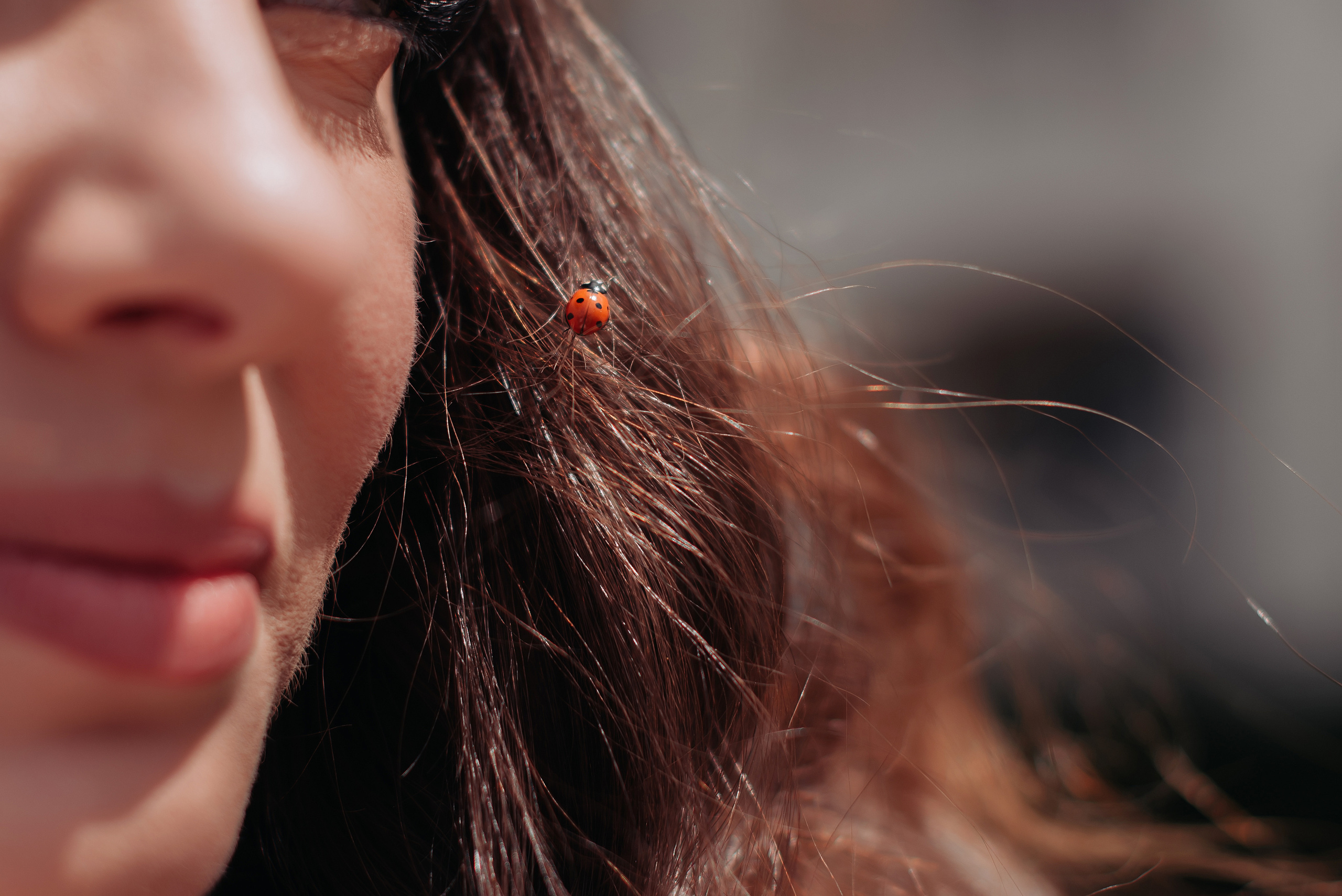 Иван и Мария | 2022. Свадебный фотограф в Крыму Александр Богомазов