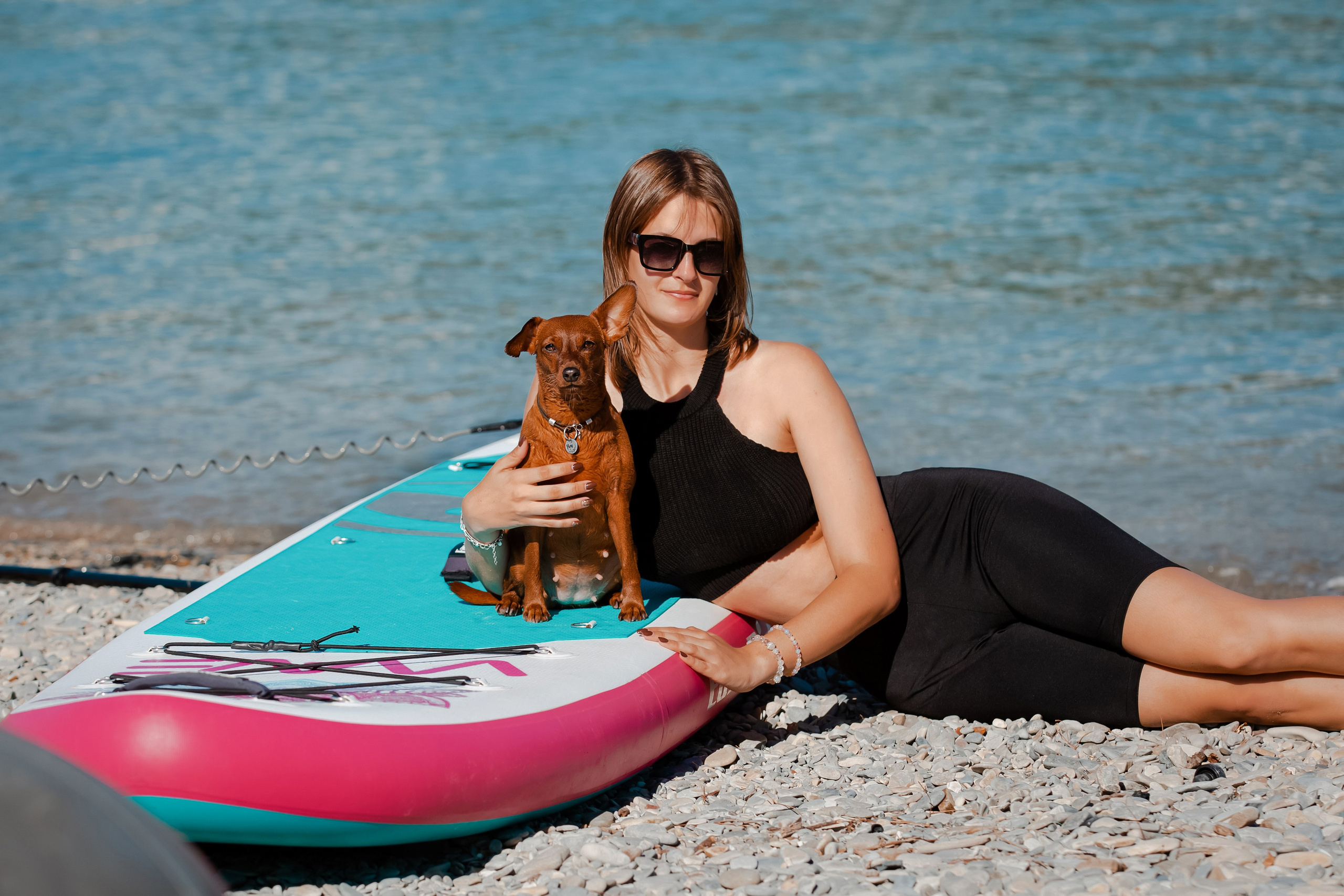 Цвергпинчер в Геленджике. Фотограф-анималист в Краснодаре Маша Мельникова