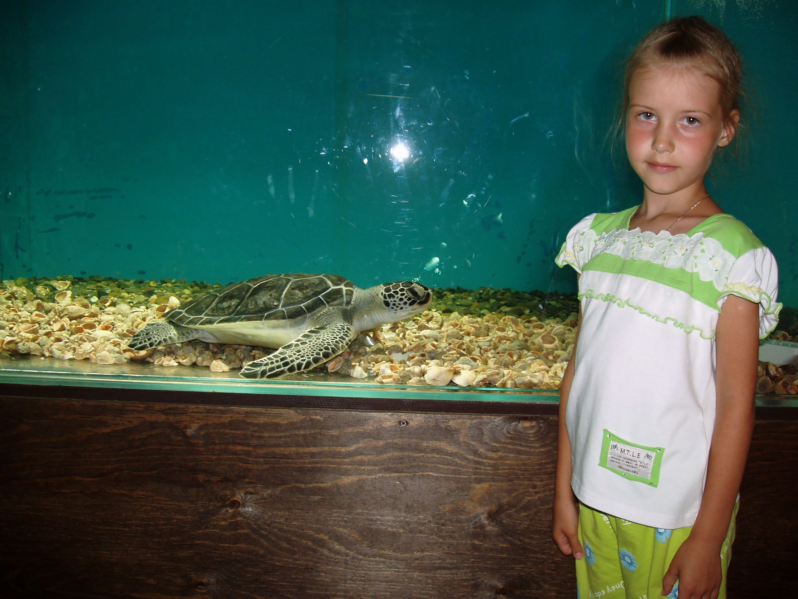 Отпуск 13.07-24.08. Семейный, Свадебный фотограф СПБ Питер— Романова Екатерина