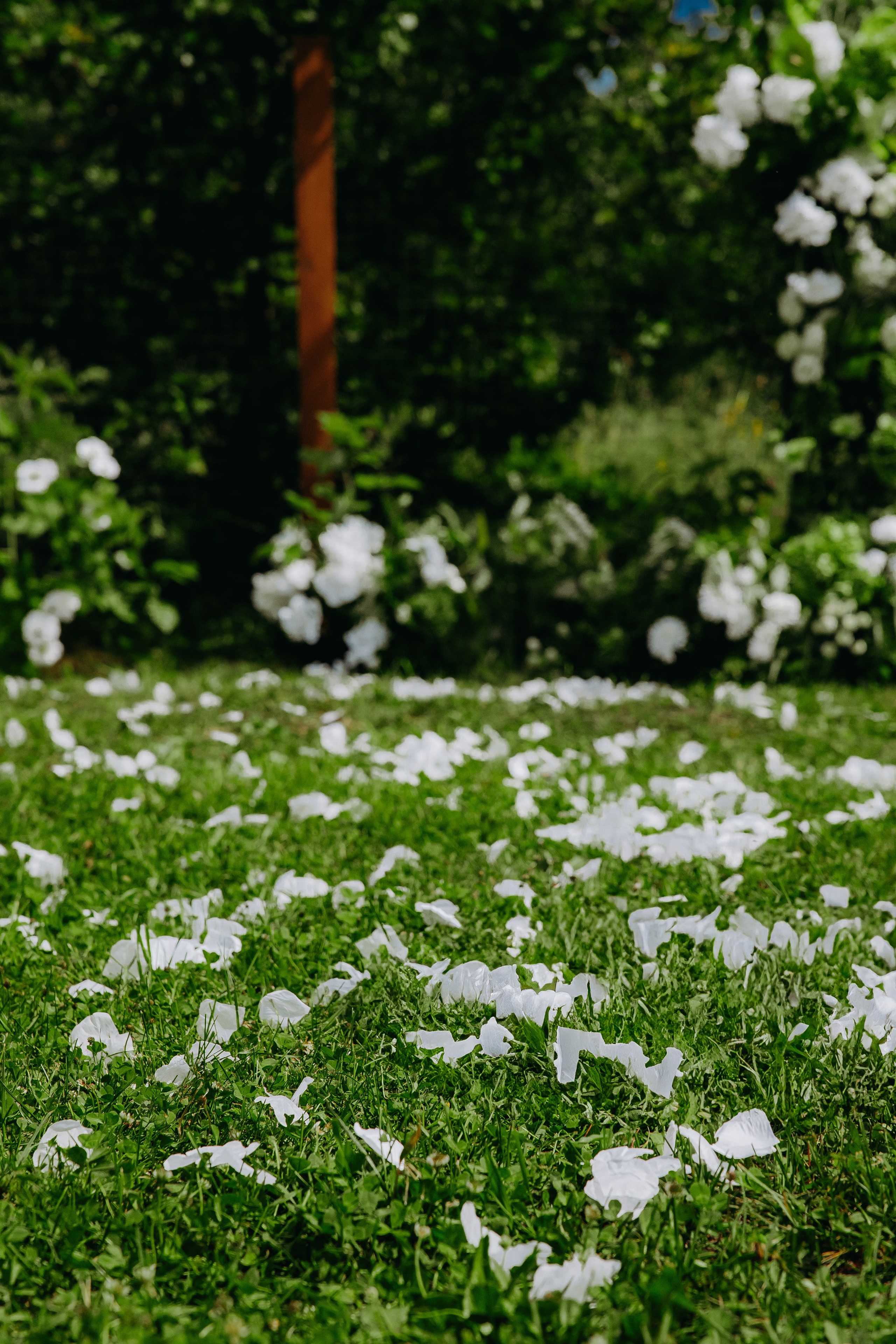 Дмитрий и Яна. Фотограф в Саратове Александр Кухаренко. И не только в Саратове :)