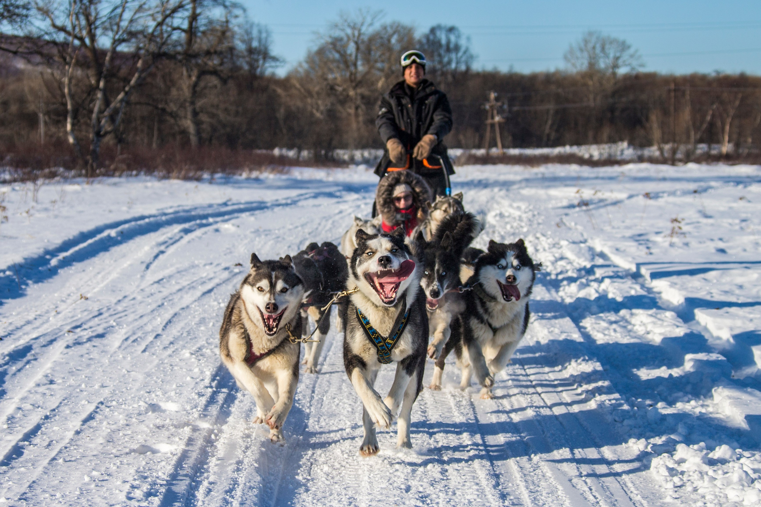Максимум Камчатки зимой — путешествие с комфортом. Время Камчатки: чтобы найти свой путь, нужно скорость умножить на время