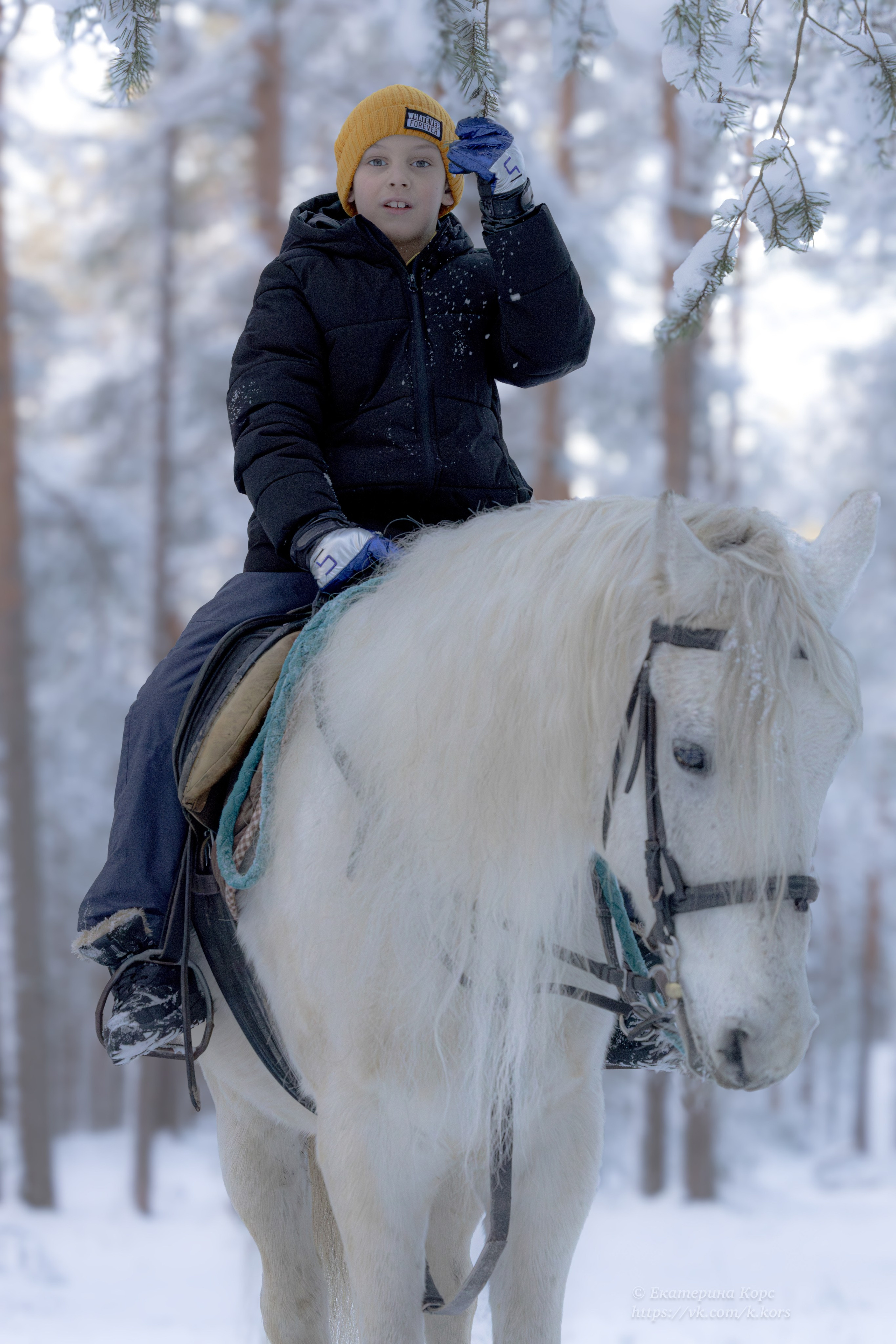 Лошади и люди. Главная