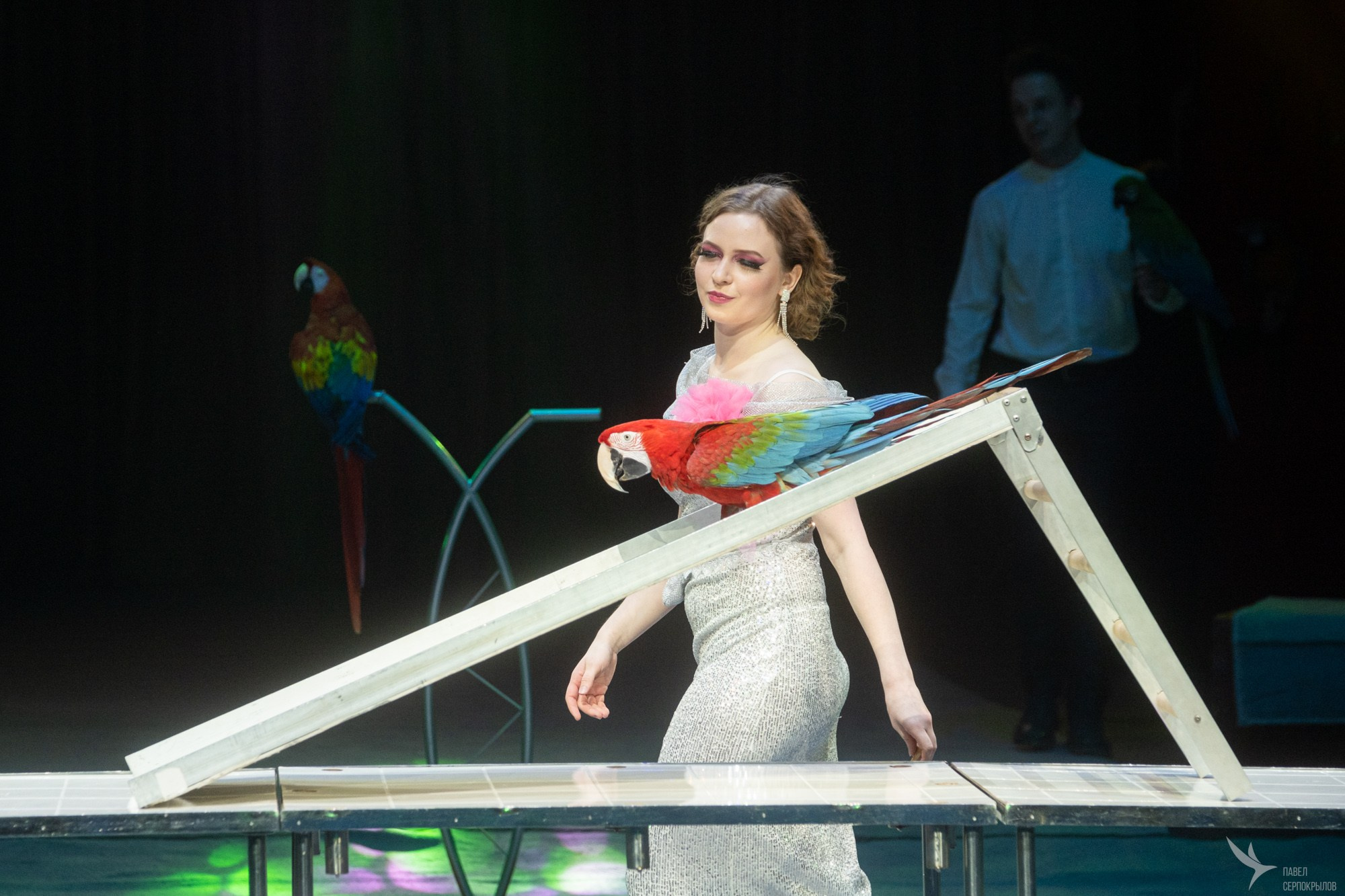 Гала-представление ЭВОЛЮЦИОНЕРЫ. Репортажный фотограф в Казани Павел Серпокрылов