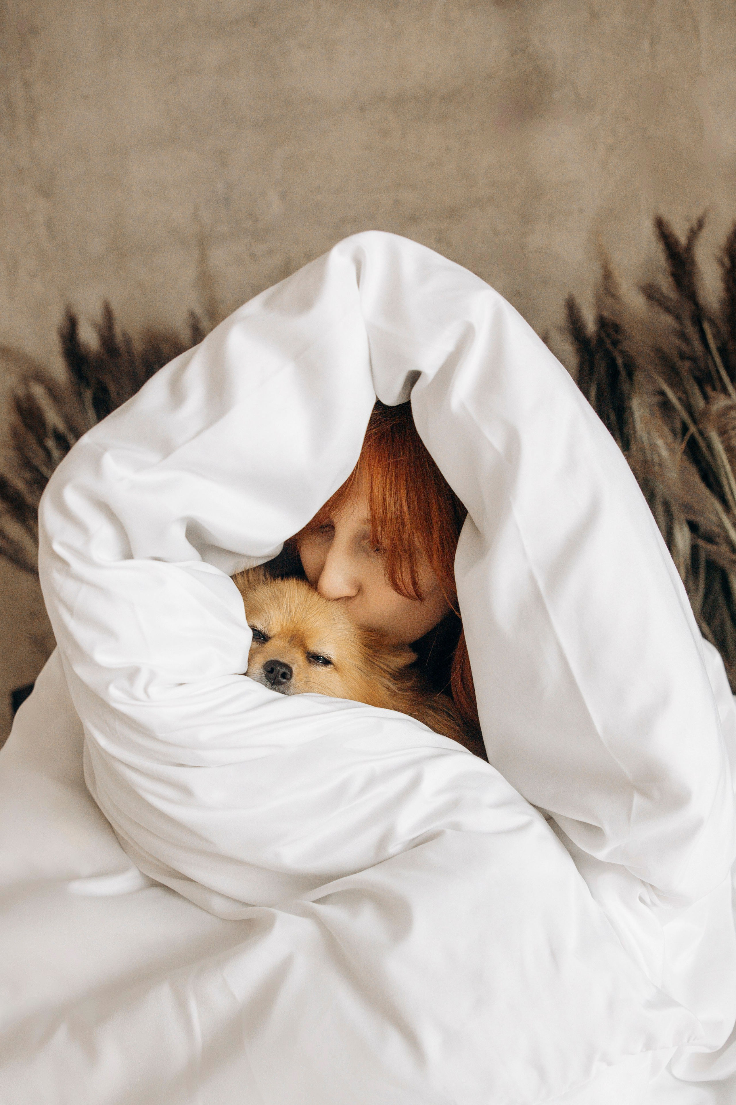 Съемка в студии с собакой. Анастасия Белаш