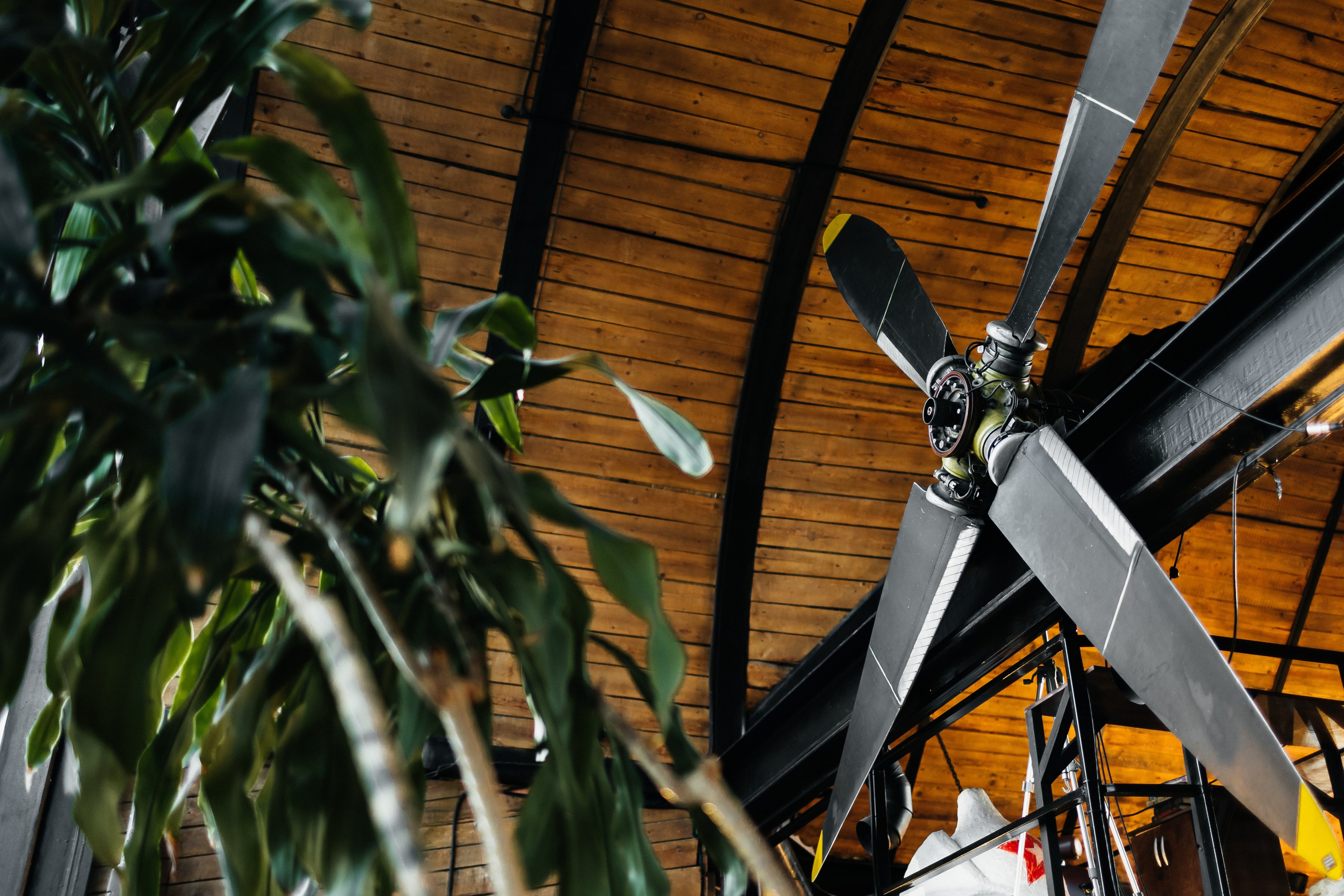 Семья. Фотограф свадебный семейный в Красноярске Шукшина Наталья