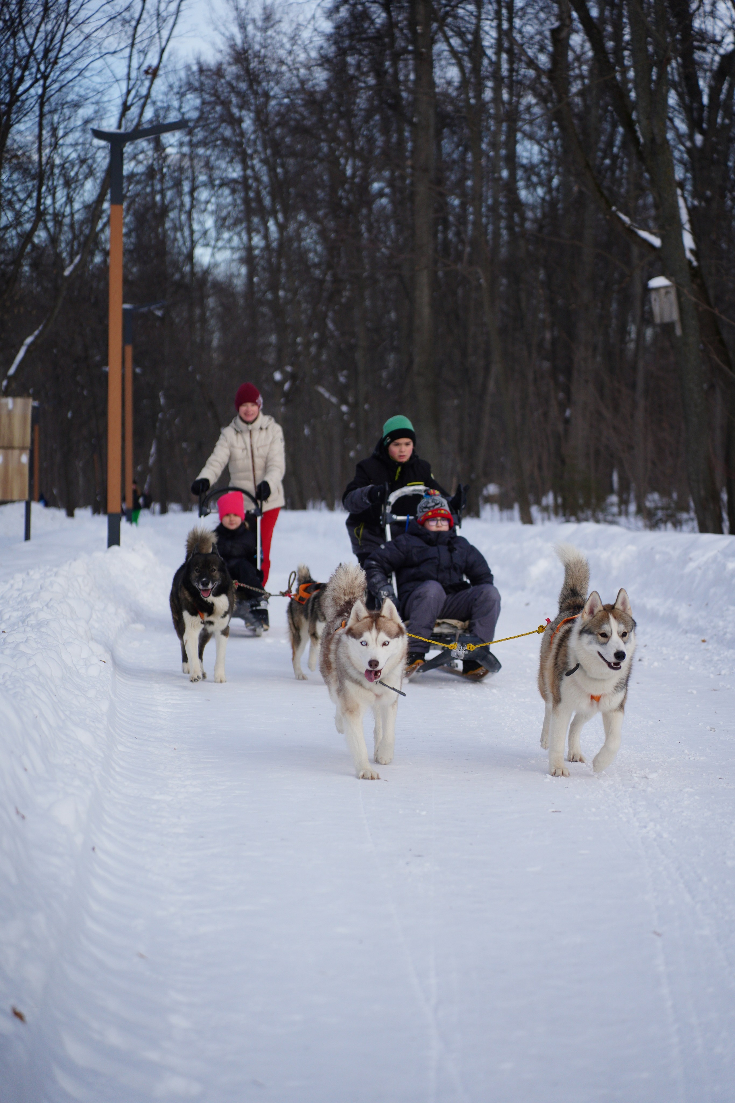 Благотворительная Акция «Ищу Человека». Pupov.png