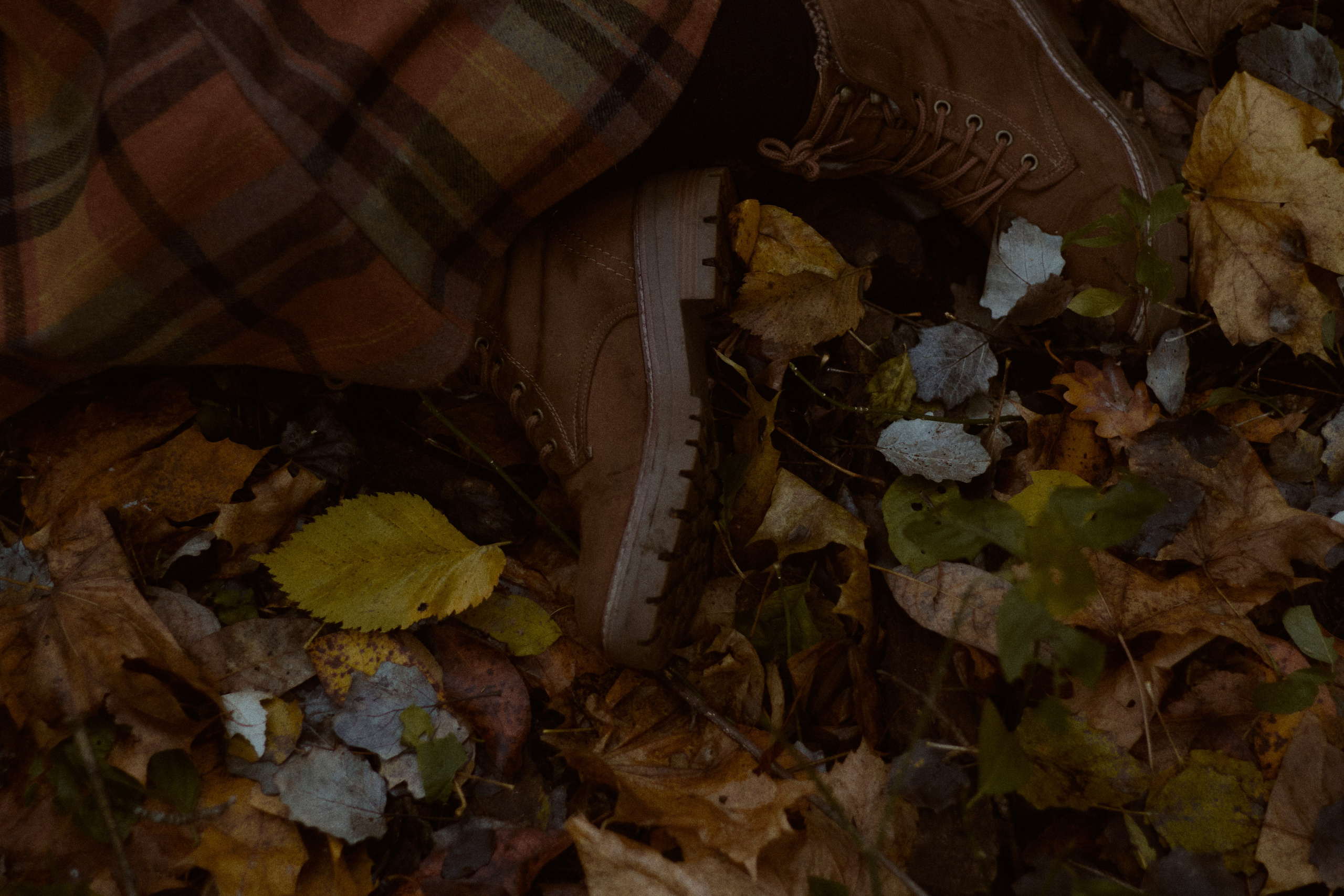 Агата и Даниил. Фотограф лавстори Москва/МО Приятелева Ангелина