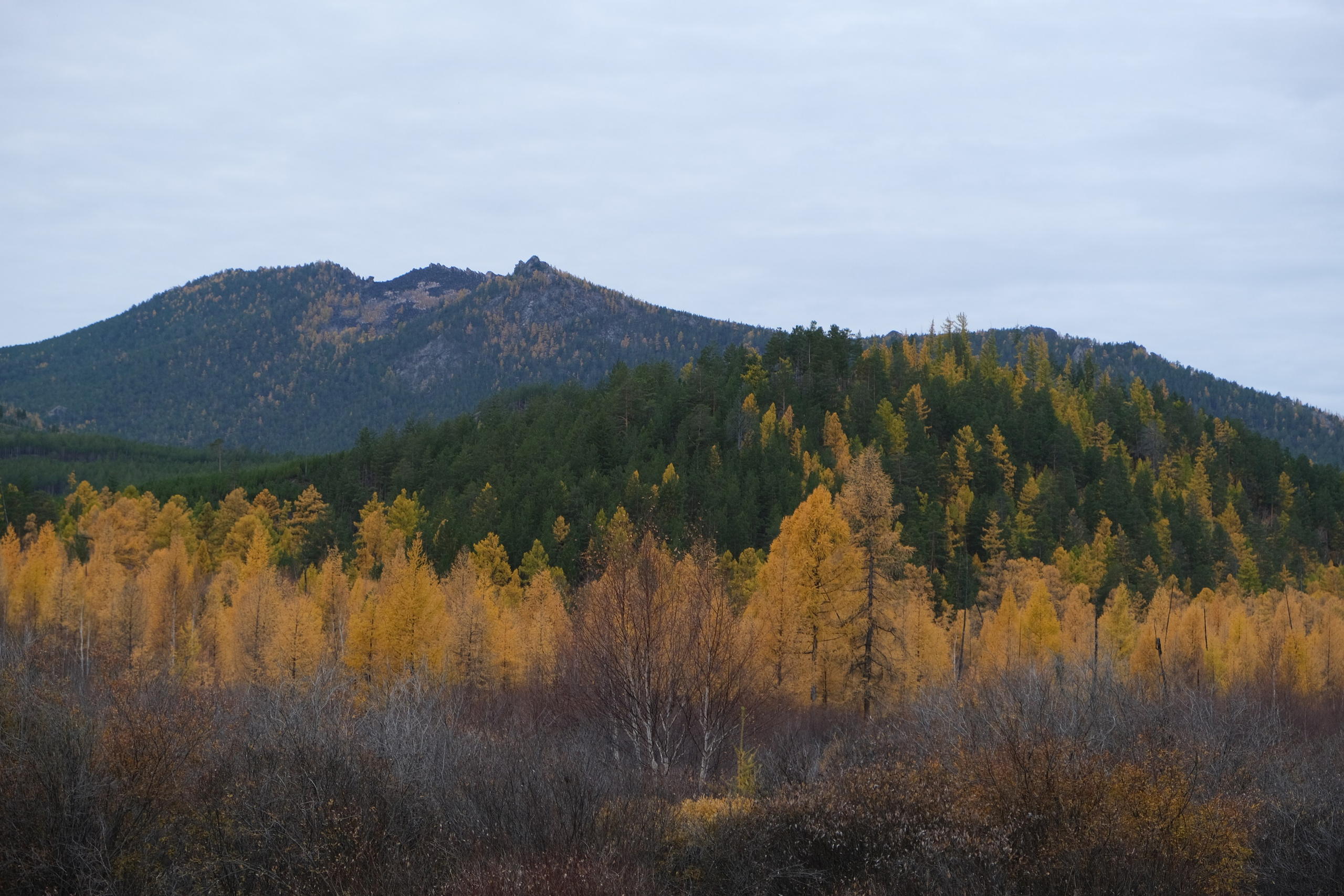 Сырные (ажурные) скальники в Заиграевском районе. Сэсэг — дочь степи | семейный фотограф