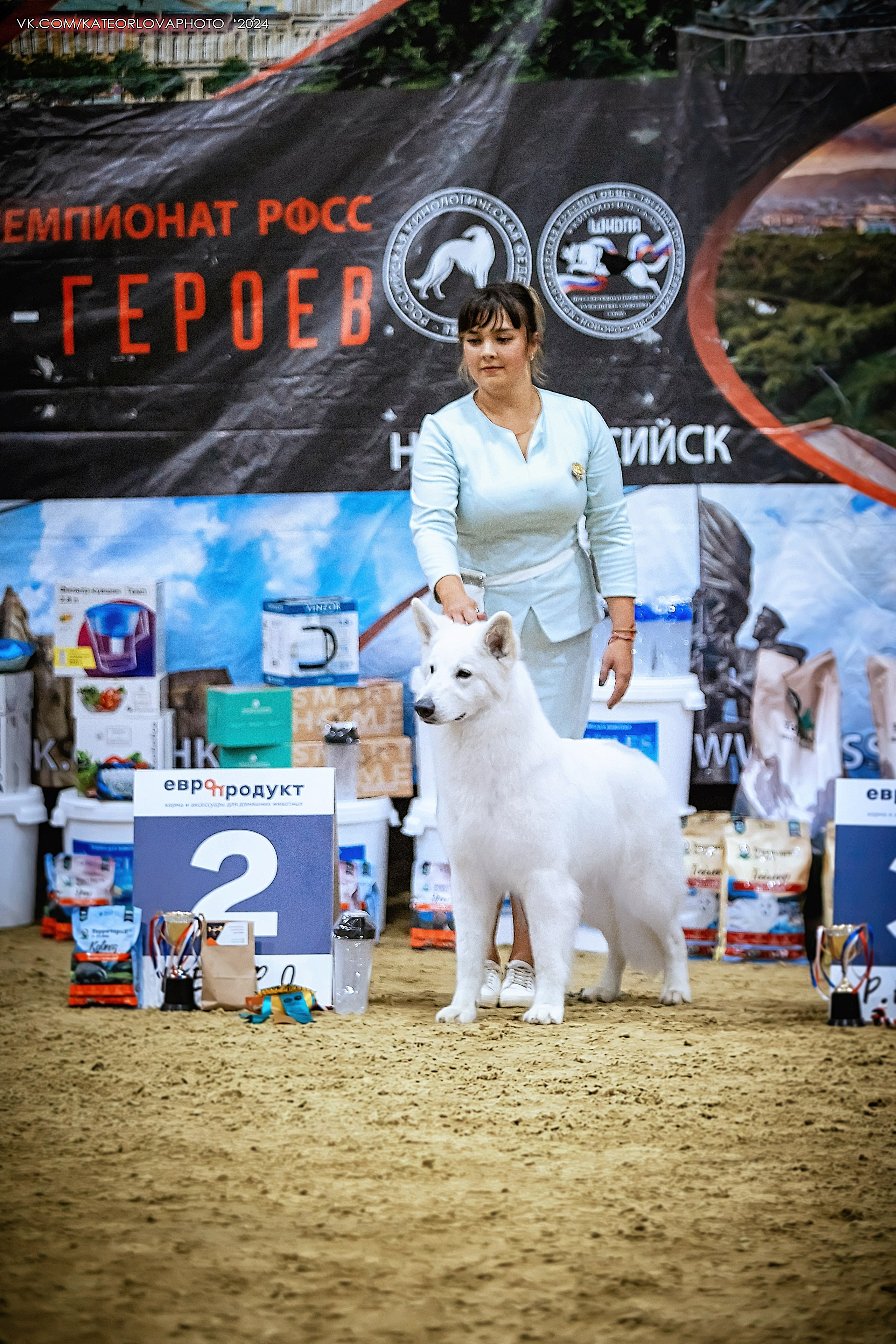 Фотосъемка собак, щенков, на выставках, фотограф анималист Россия воронеж. Питомник собак Акита, Хаски, Корги