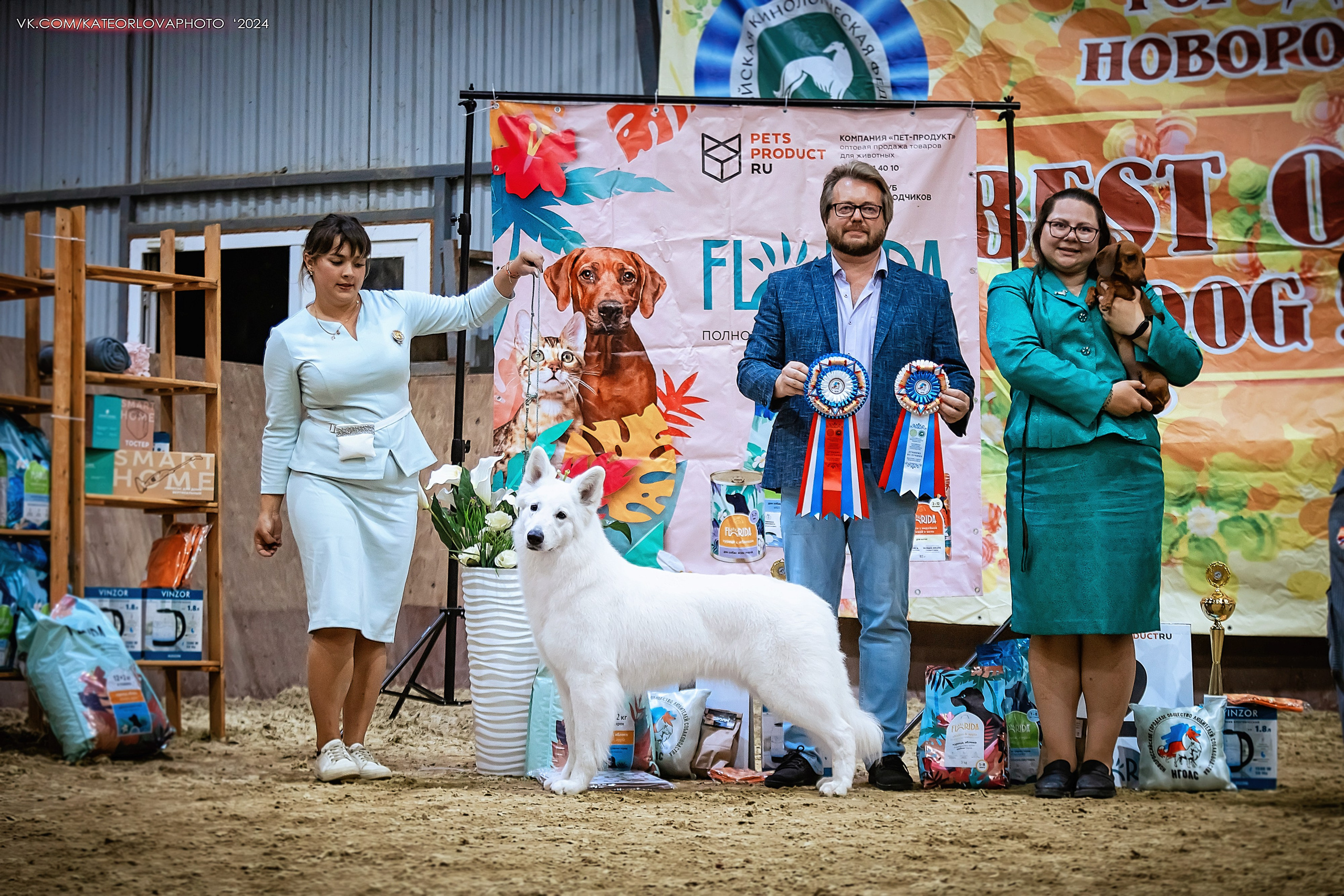 Фотосъемка собак, щенков, на выставках, фотограф анималист Россия воронеж. Питомник собак Акита, Хаски, Корги
