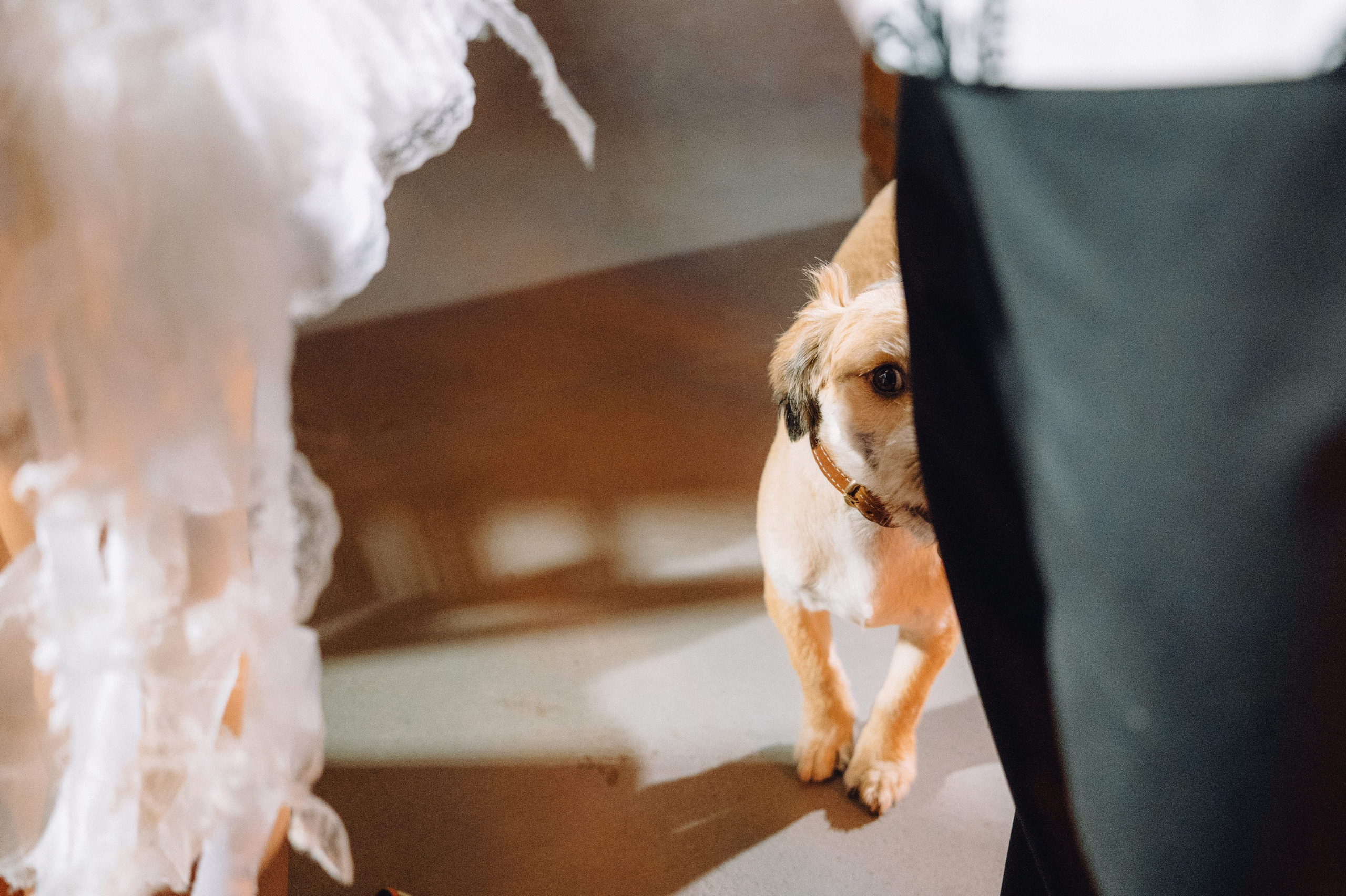 Слава и Даша. Профессиональный фотограф Алексей Васенцев. Минск, СПБ, Москва