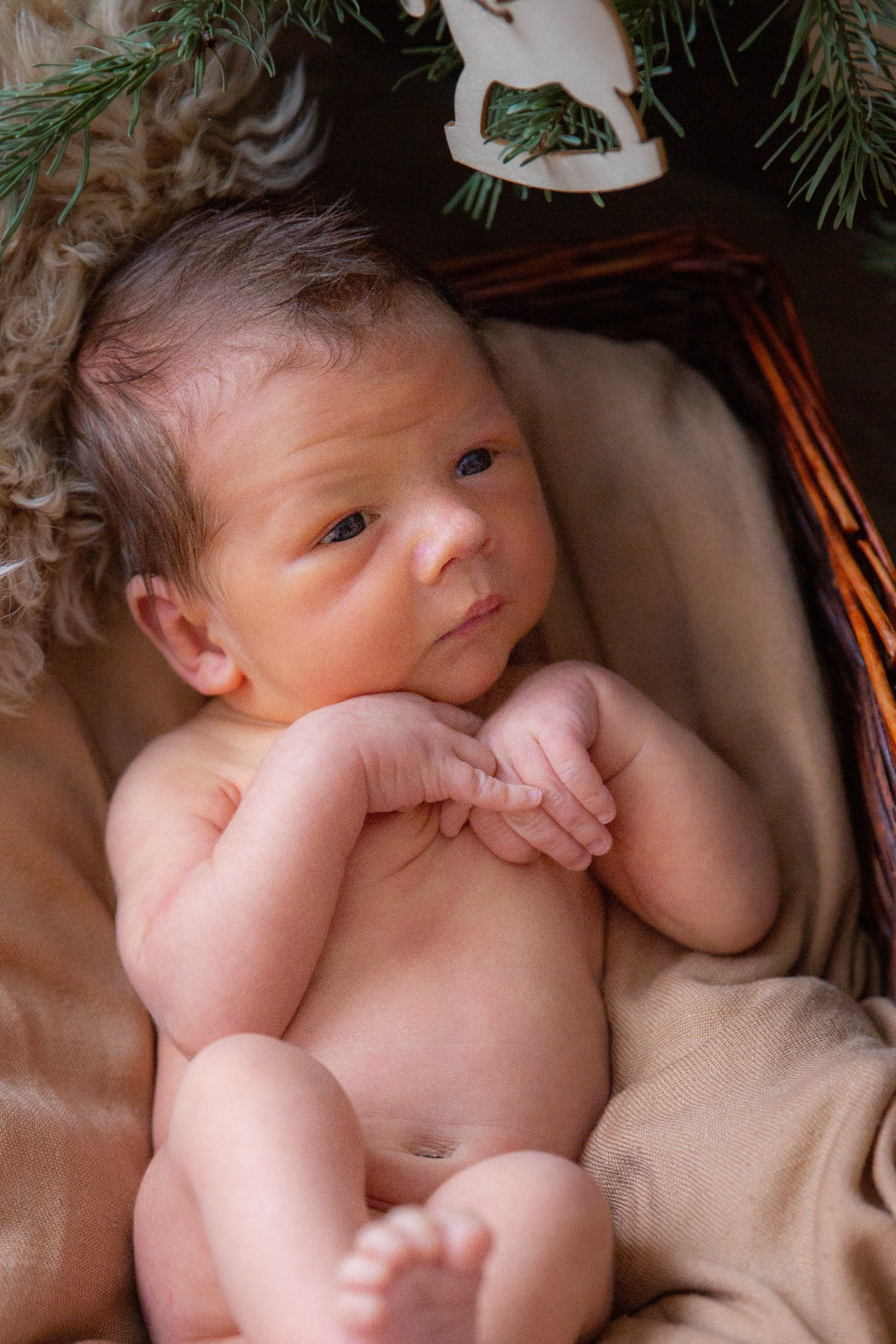 Младенцы. Детский и семейный фотограф в Москве и Подмосковье Светлана Адамова