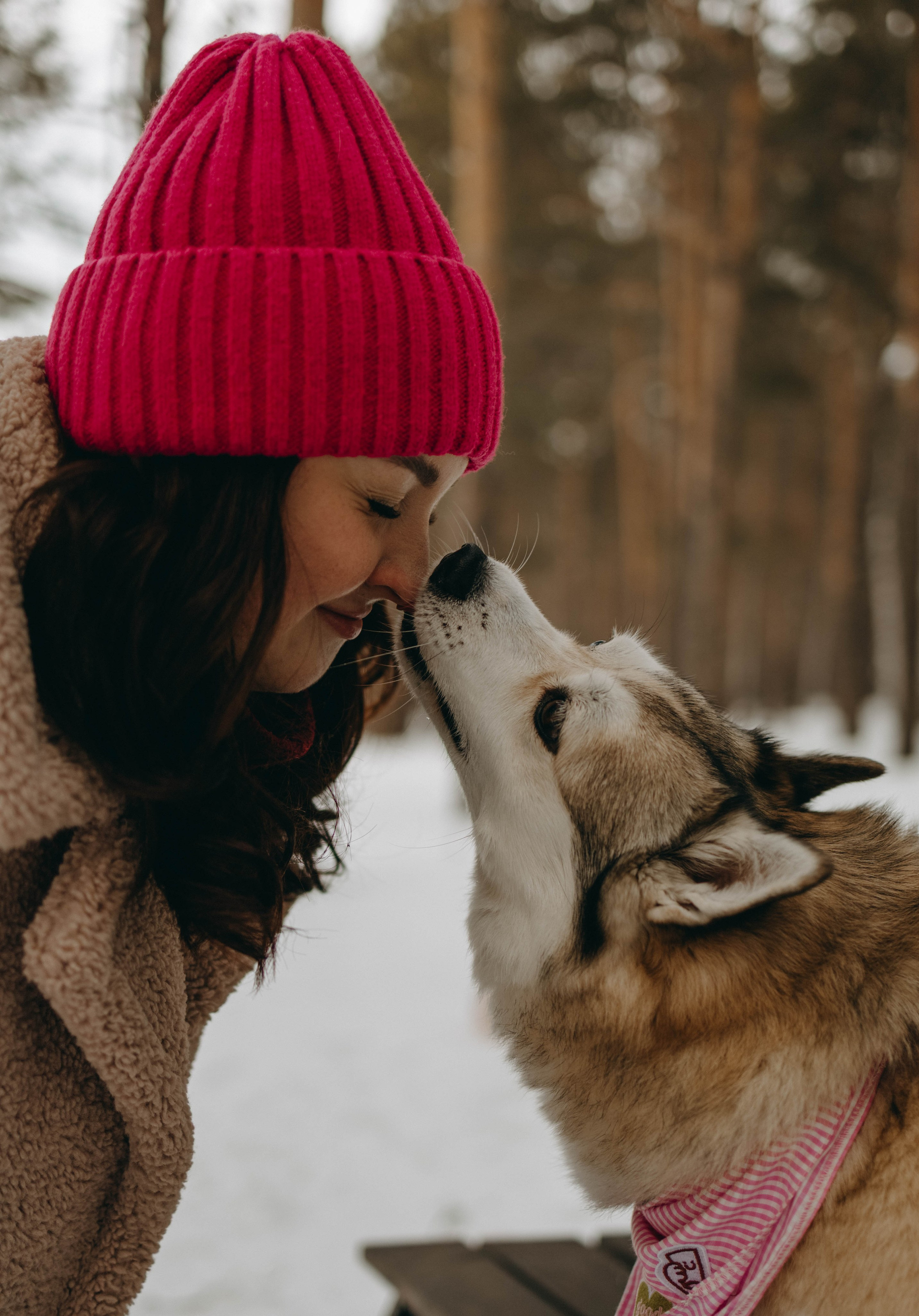 Варвара и Шелби. Фотограф-анималист в Екатеринбурге | Кристина
