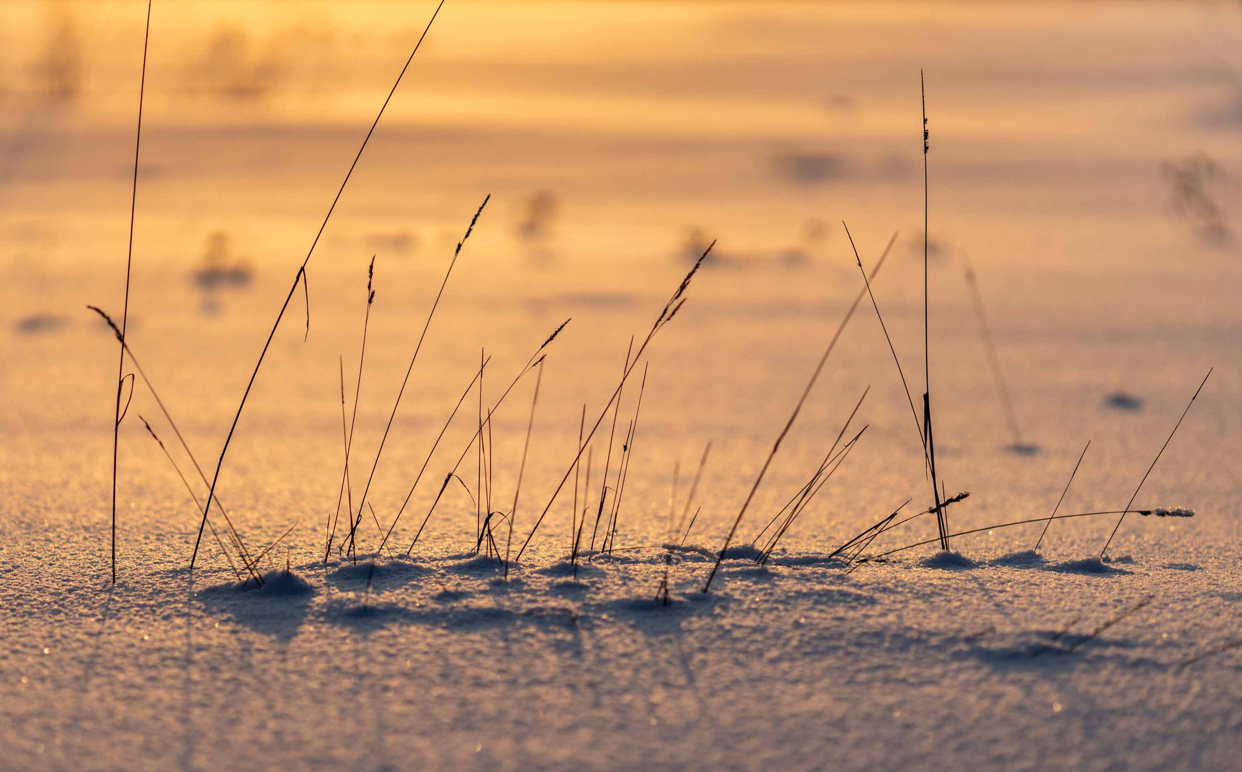 Природные пейзажи. Наталия Клевинскас портретный фотограф в Костроме