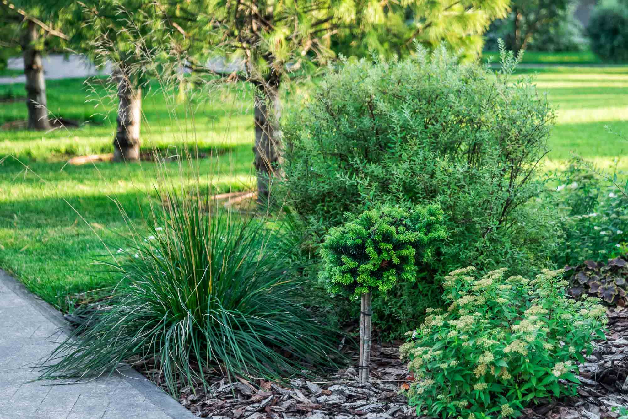 Ландшафт. Интерьерный фотограф в Москве Михаил Дереча