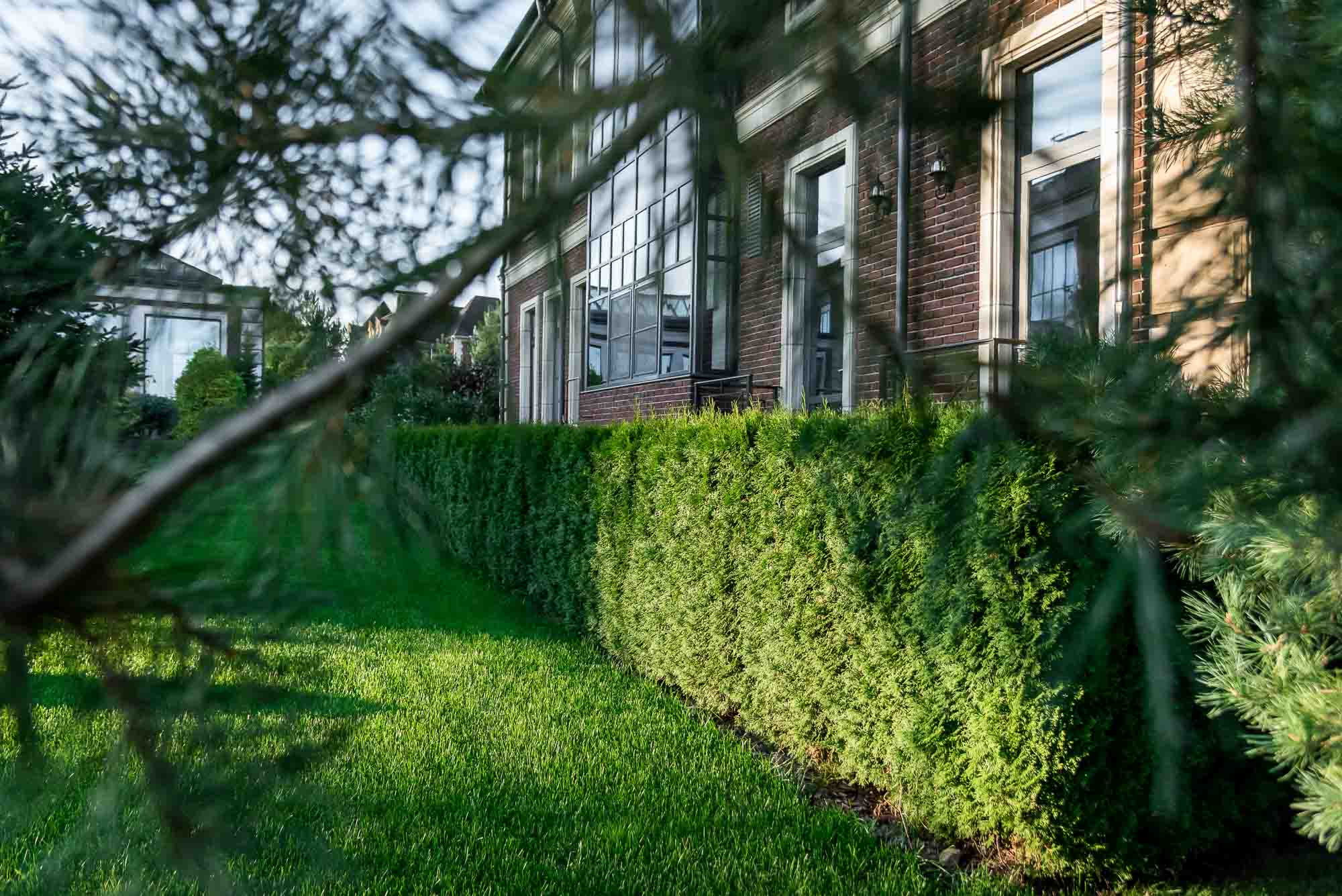 Ландшафт. Интерьерный фотограф в Москве Михаил Дереча