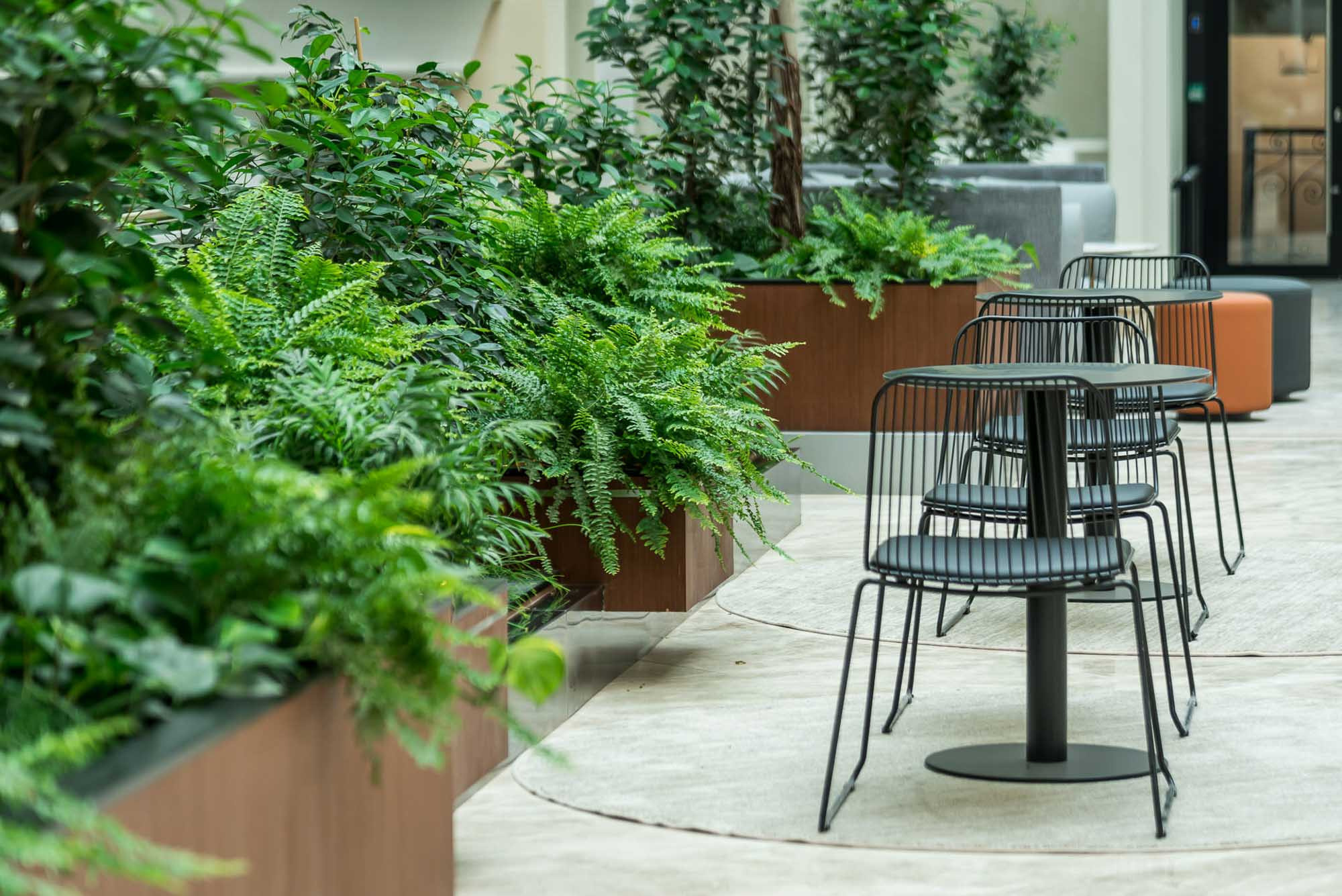 Озеленение бизнес-центра. Интерьерный фотограф в Москве Михаил Дереча