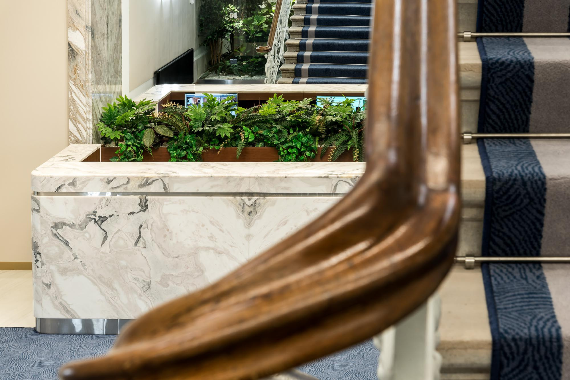 Озеленение бизнес-центра. Интерьерный фотограф в Москве Михаил Дереча