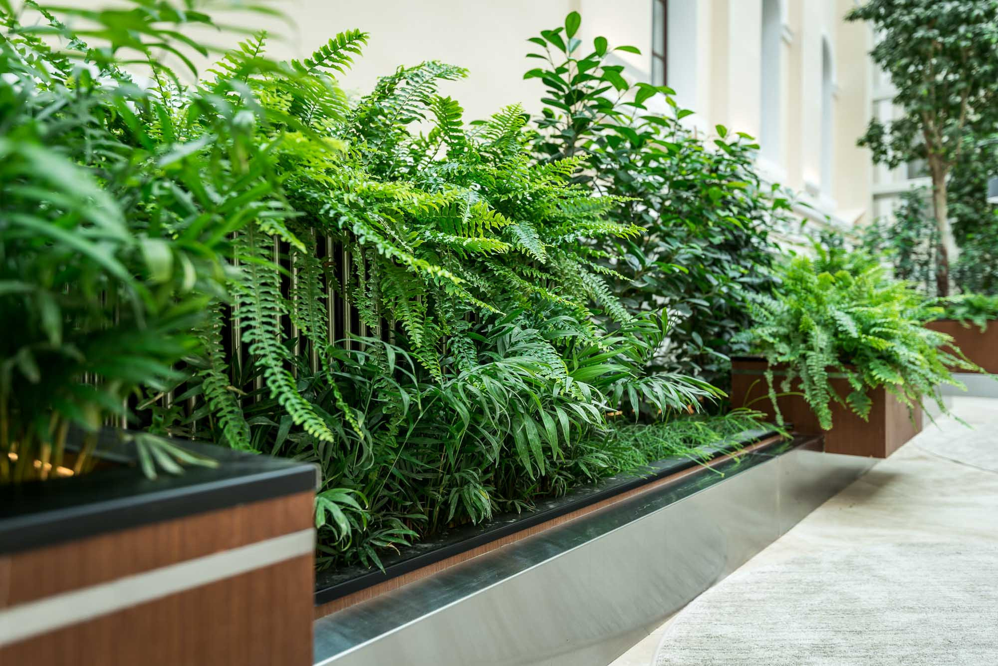 Озеленение бизнес-центра. Интерьерный фотограф в Москве Михаил Дереча