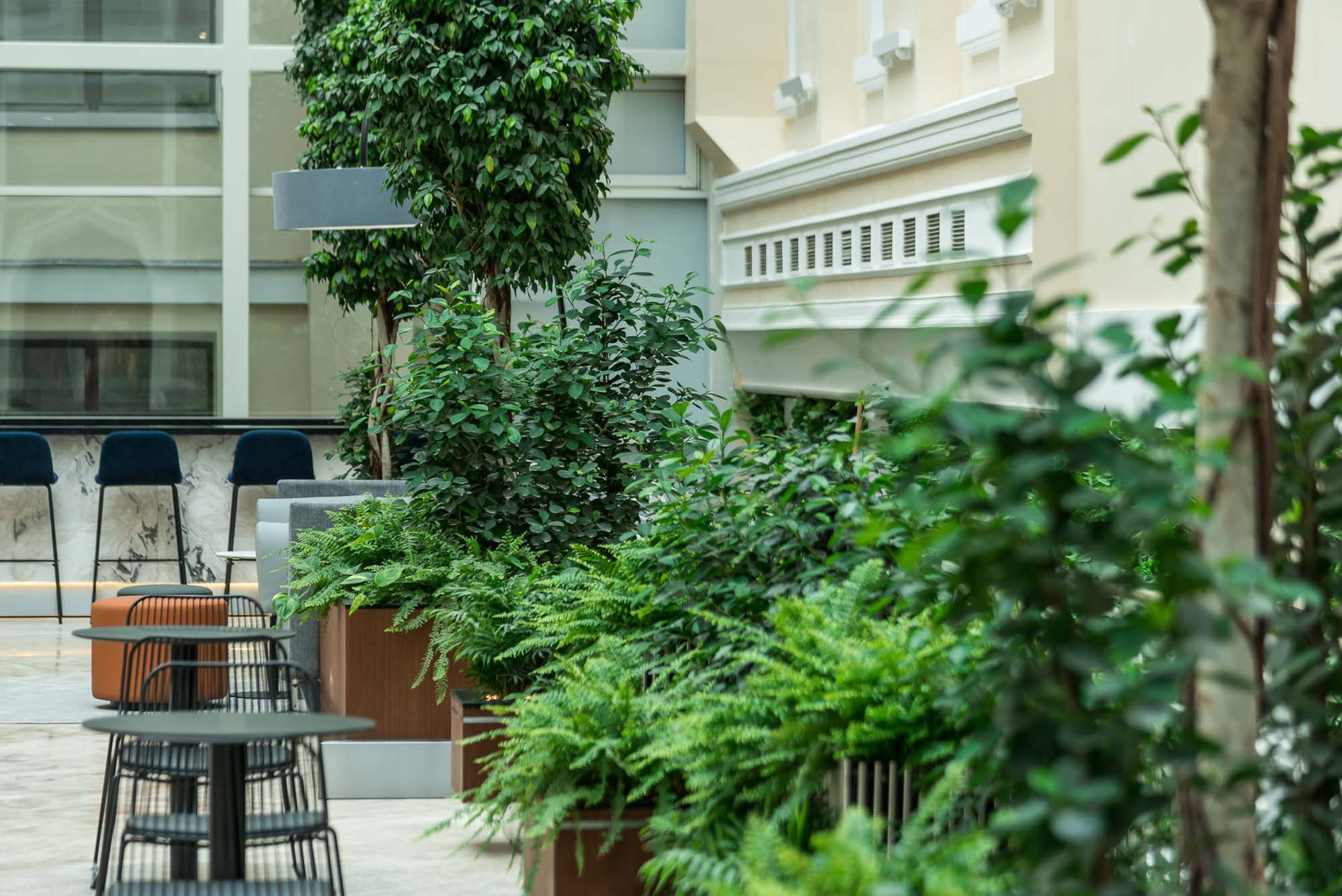 Озеленение бизнес-центра. Интерьерный фотограф в Москве Михаил Дереча