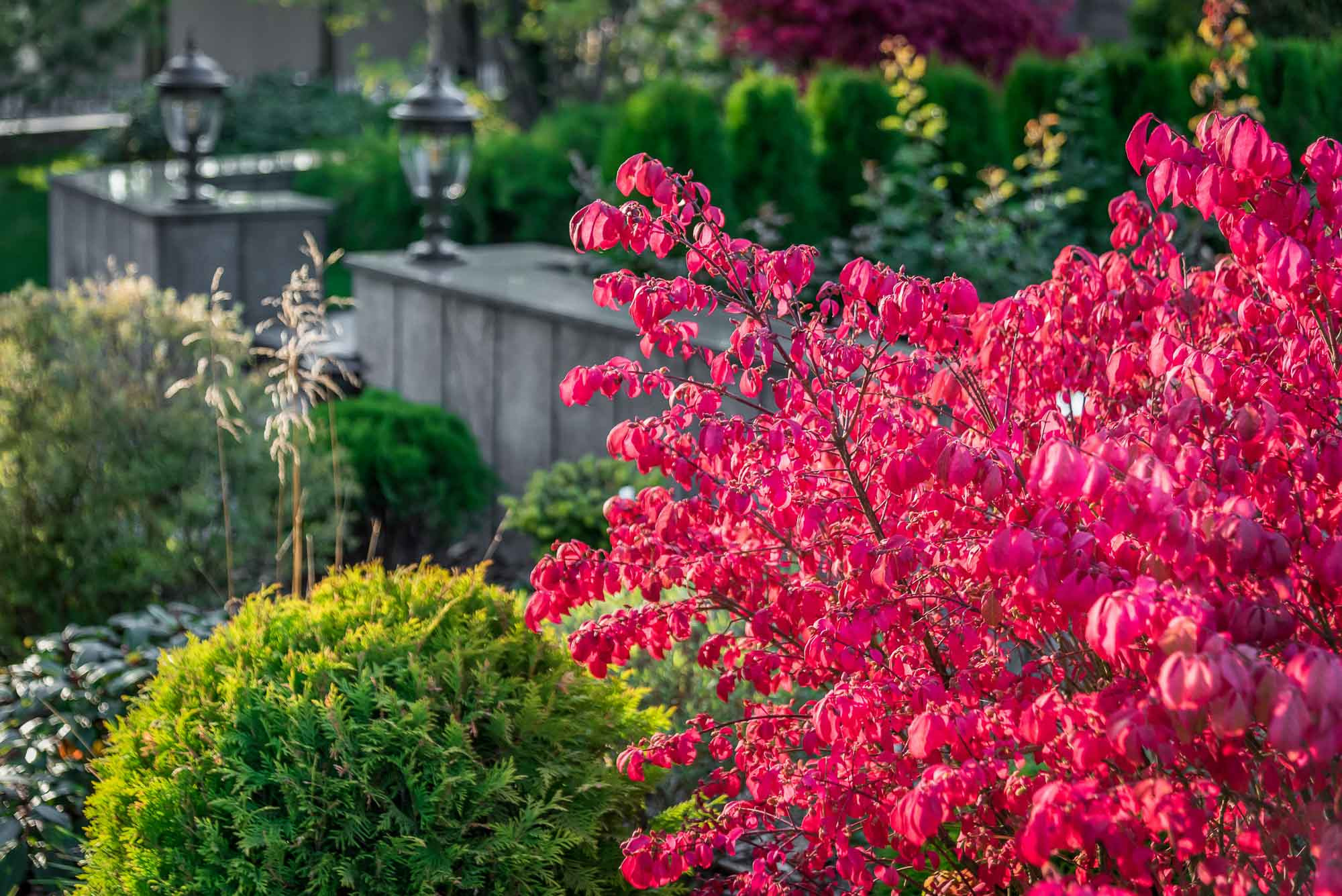 Ландшафт. Интерьерный фотограф в Москве Михаил Дереча