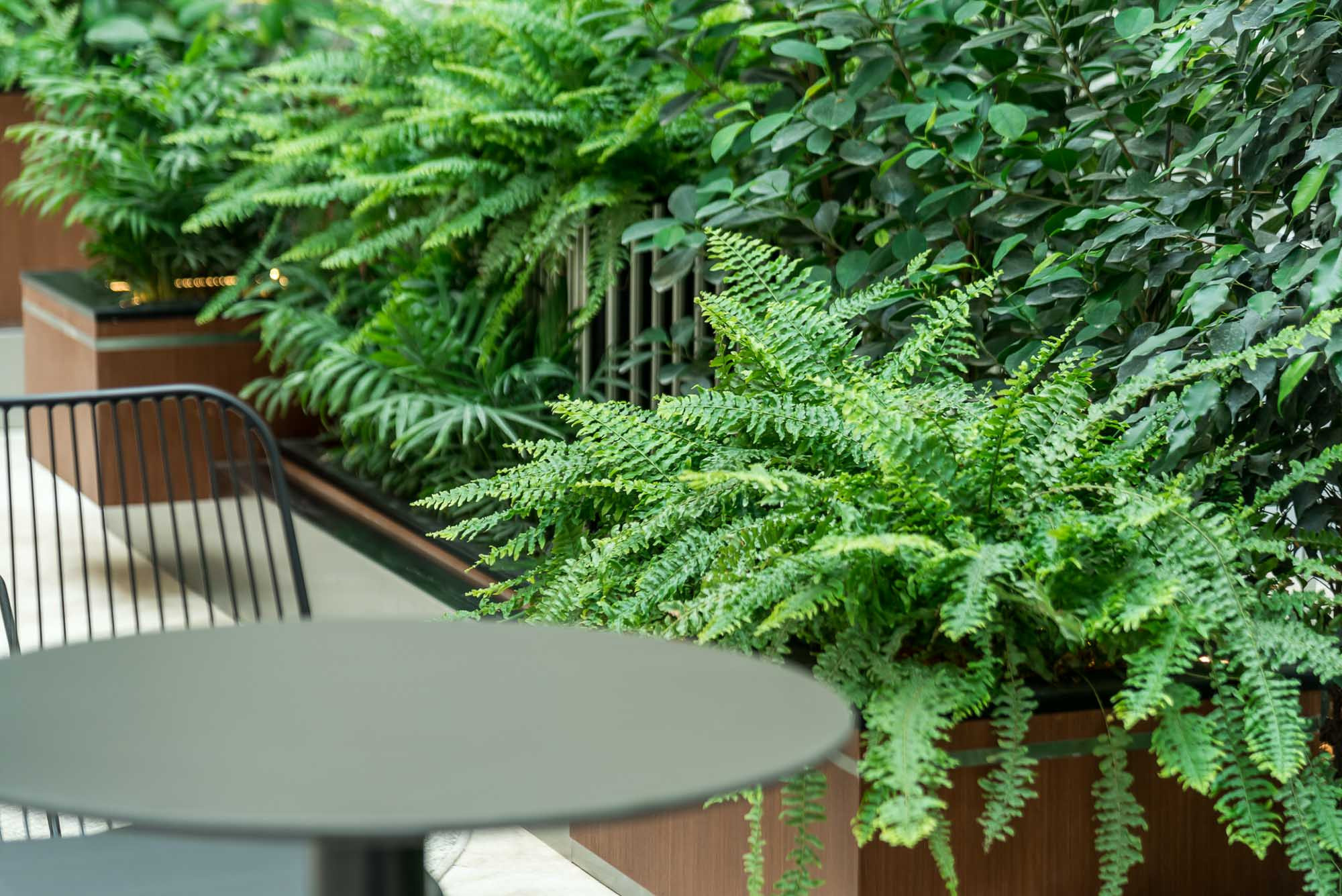 Озеленение бизнес-центра. Интерьерный фотограф в Москве Михаил Дереча