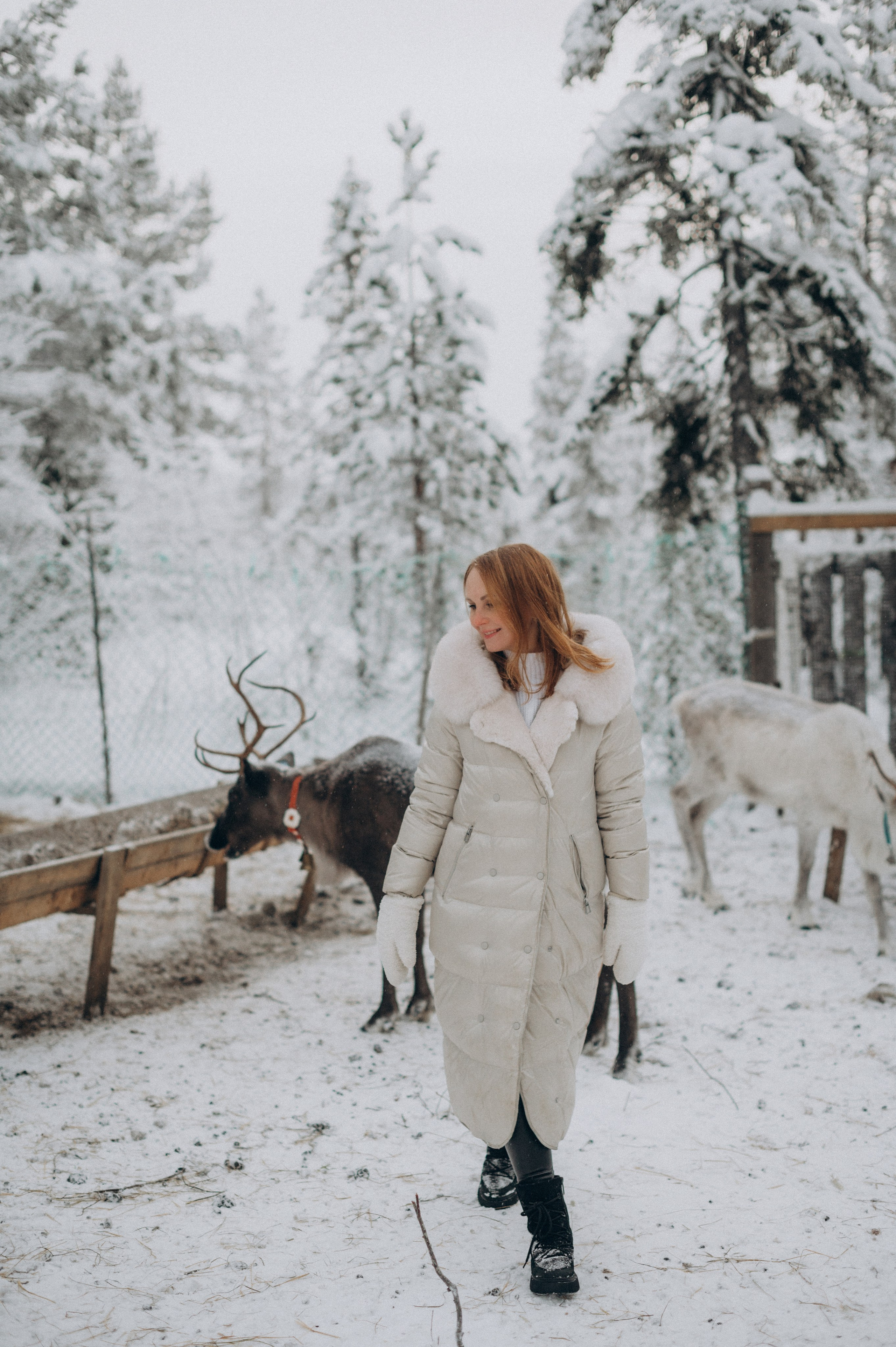 Хаски Терапия. Фотограф Наталья Могилевская Мурманск Териберка Сейдозеро Рыбачий