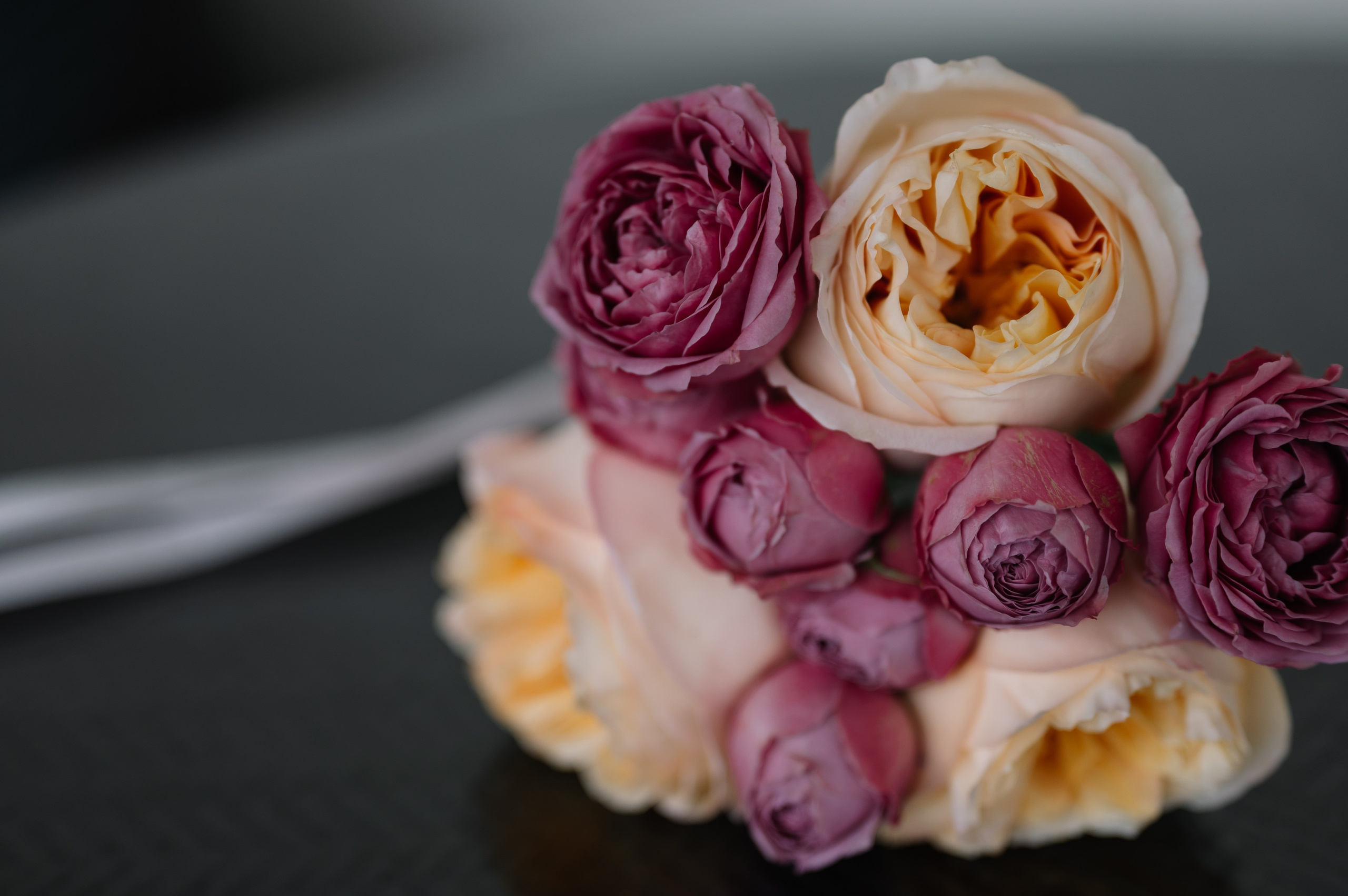 Ася и Дмитрий. Фотограф в сочи Свадебный фотограф Сочи