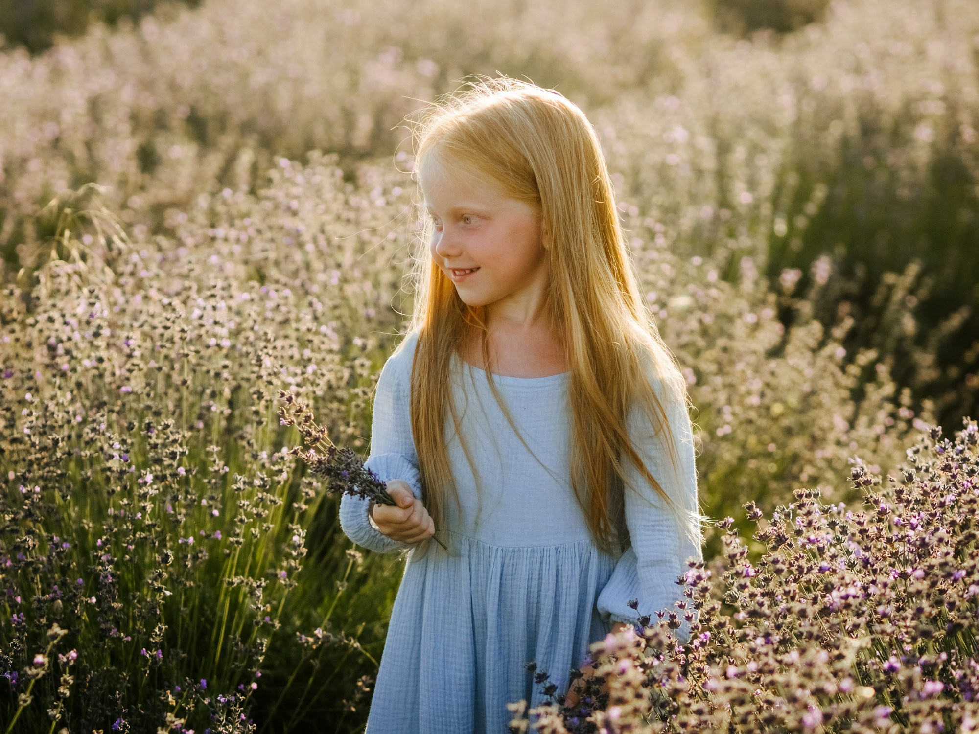 Лаванда. Семейный, детский, свадебный, фотограф в городе Анапа