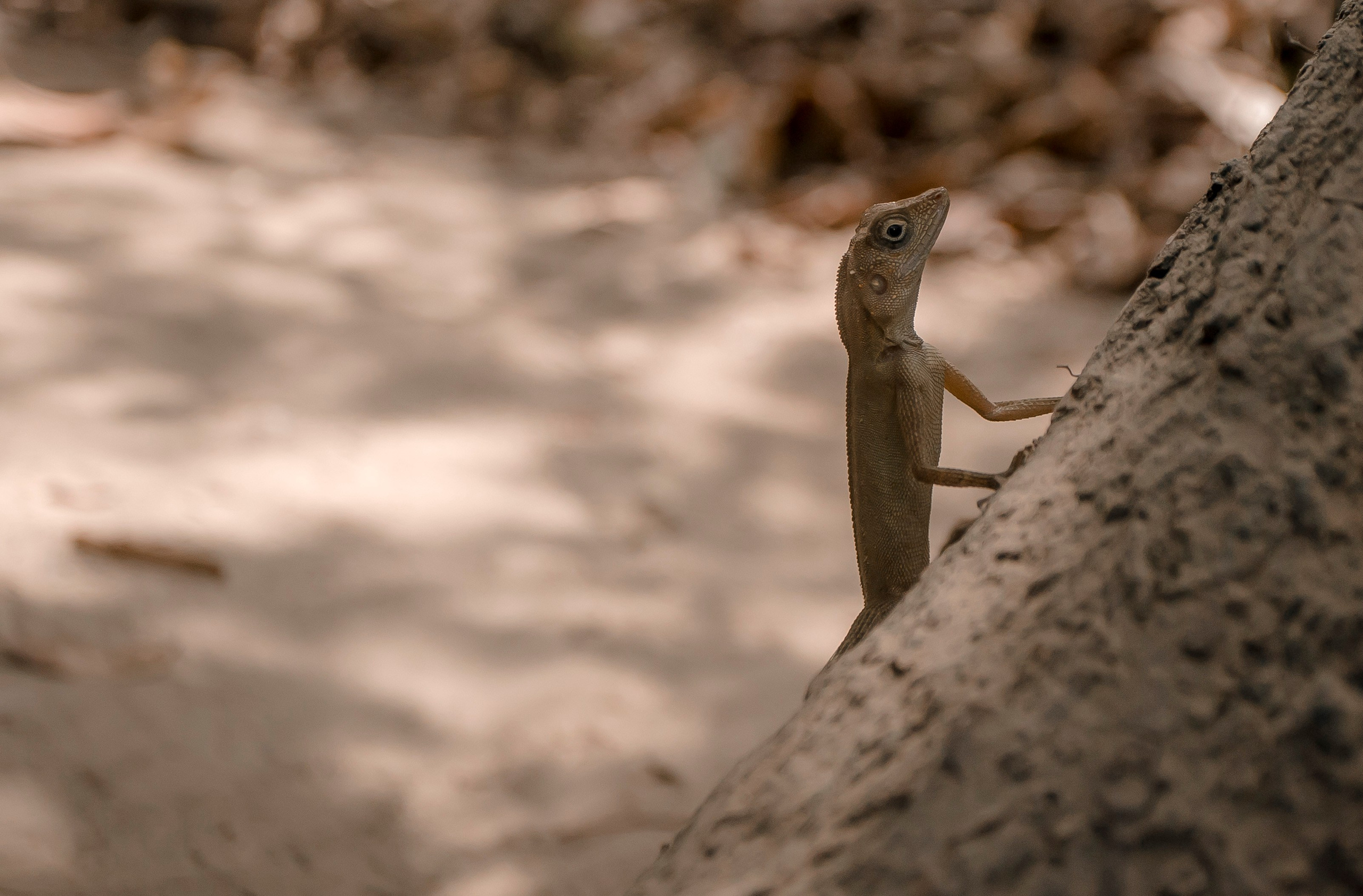 Andaman Islands, Part2. Art Photographer