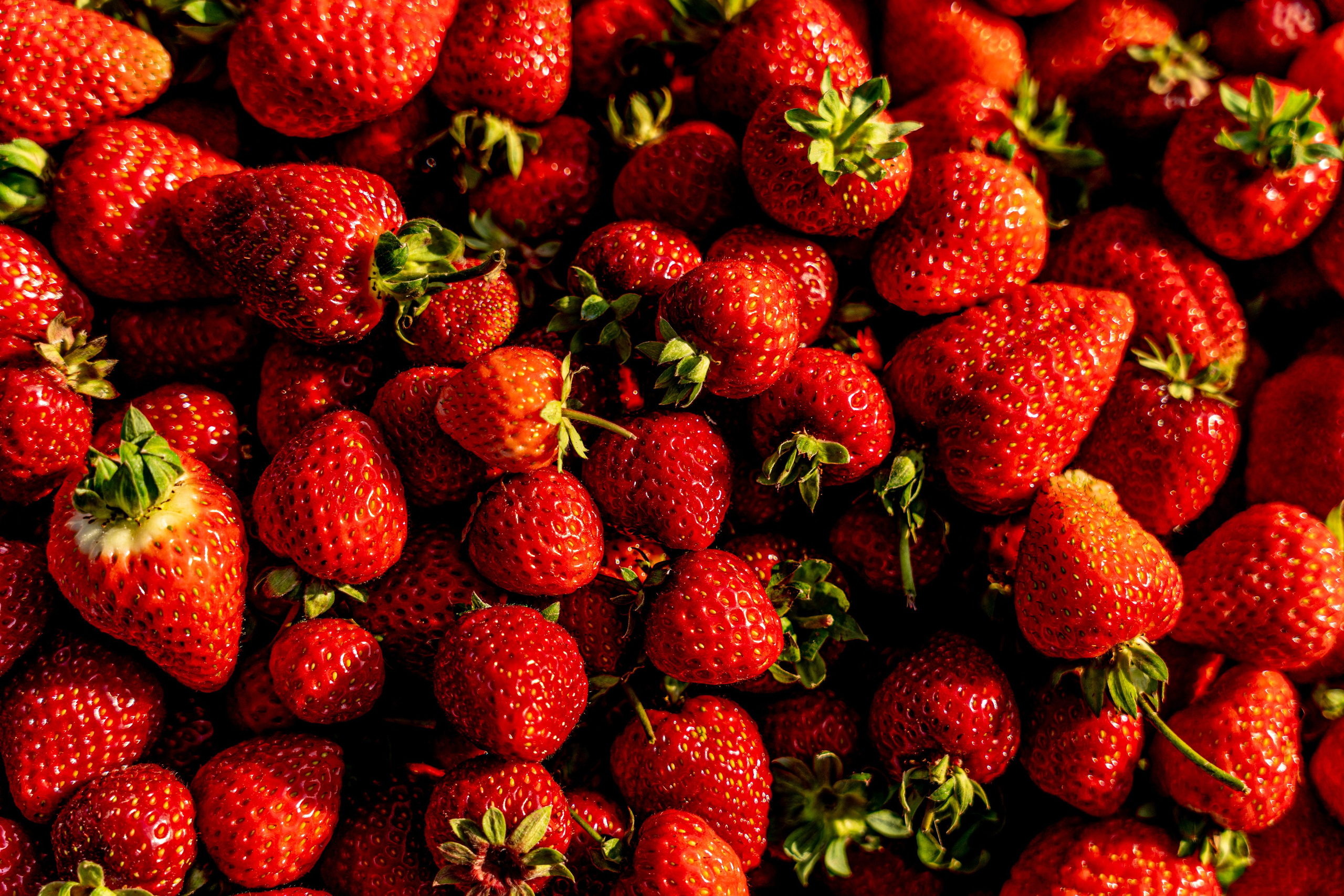 Валерия и Владислав Ращектаевы. Фермеры. Репортажный фотограф Наталья Лапцевич