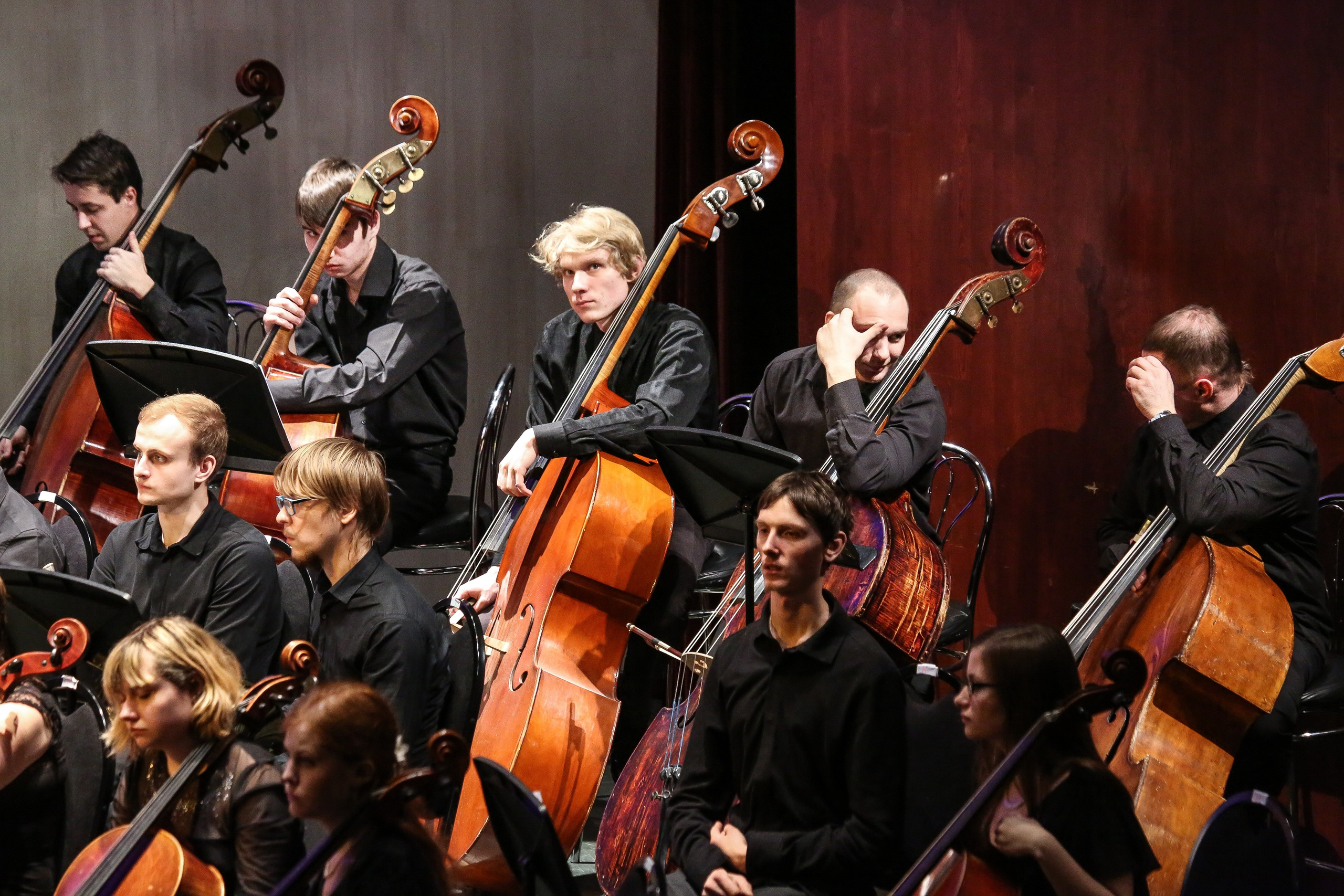 Концерт в Доме музыки к Международному дню борьбы с эпилепсией. Дарья Письменюк / Darya Leitstern — фотограф, музыкант, журналист, путешественник