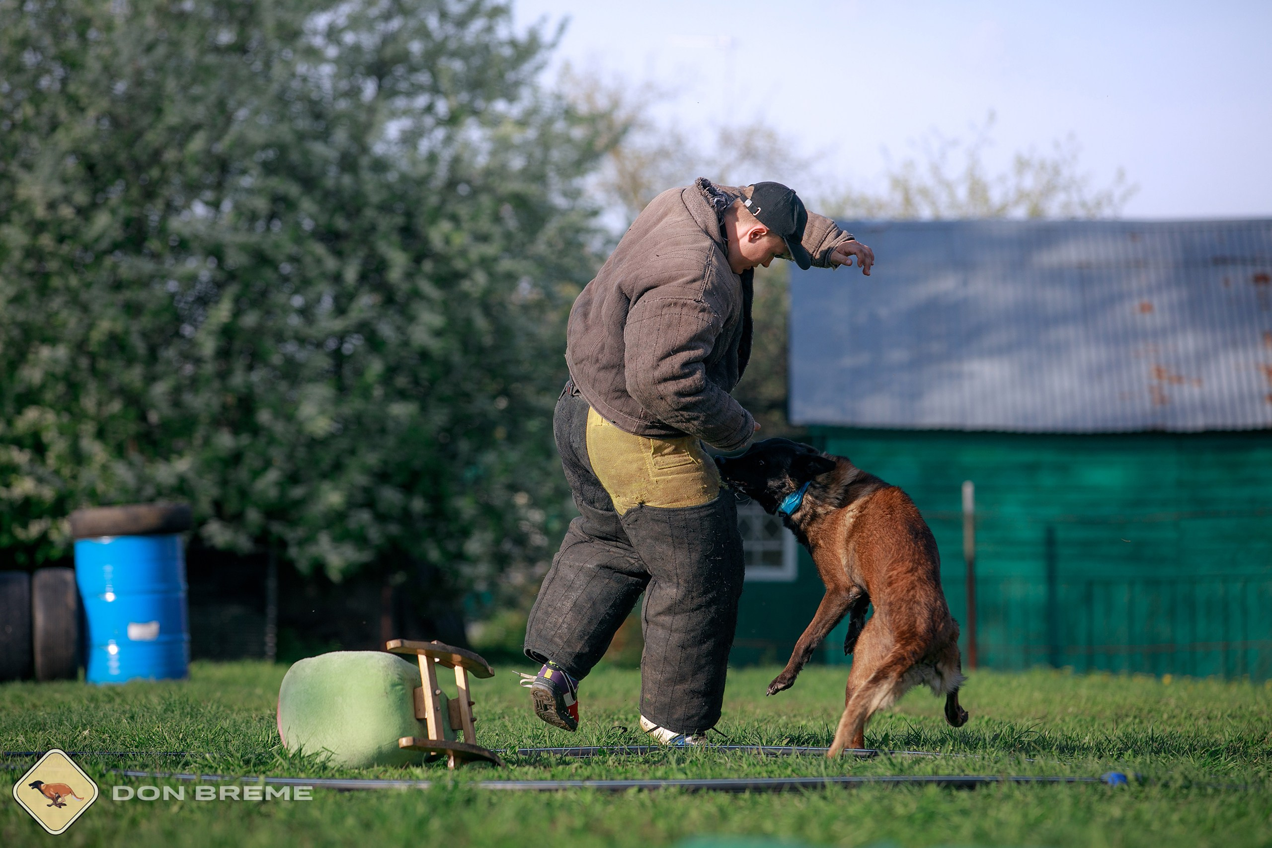 Семинар для фигурантов, день 4. Фотограф-анималист Mary Mart — Москва, Питер