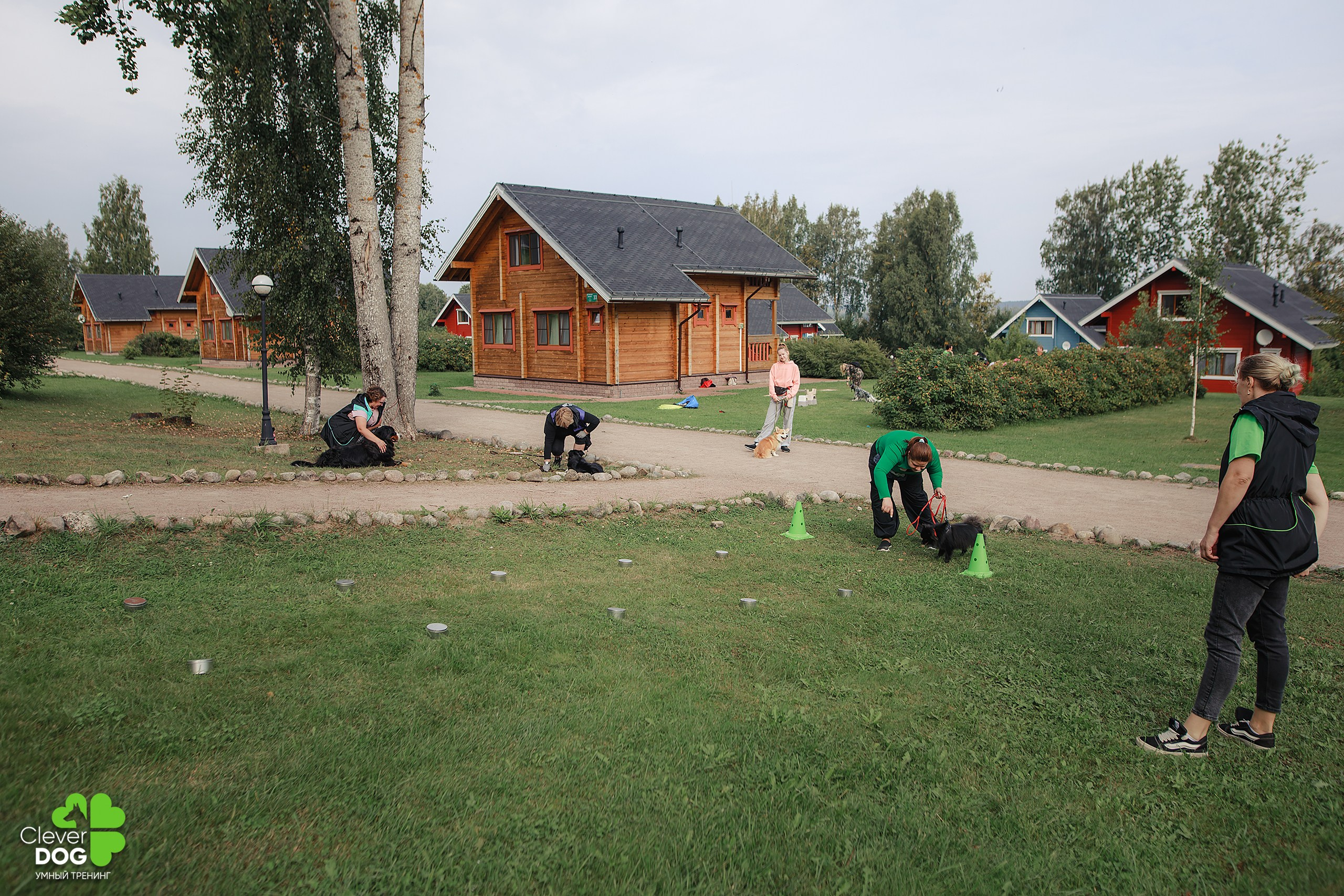 Кинологический лагерь CleverDog, 2024. Фотограф-анималист Mary Mart — Москва, Питер